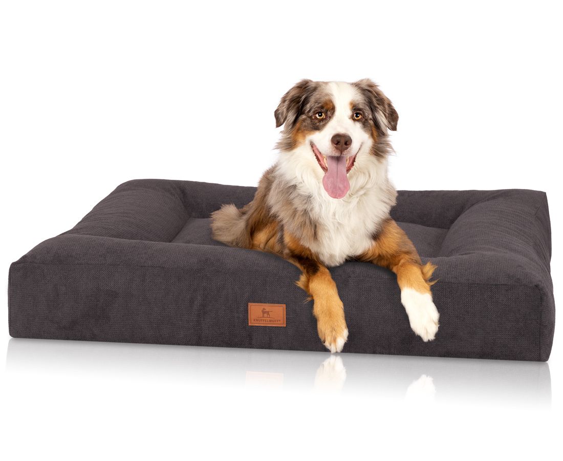 Hund liegt auf orthopädischem Hundebett Sofia. Dunkelgraues Bett mit erhöhtem Rand. Braunes Label. Hund mit braun-weißem Fell.