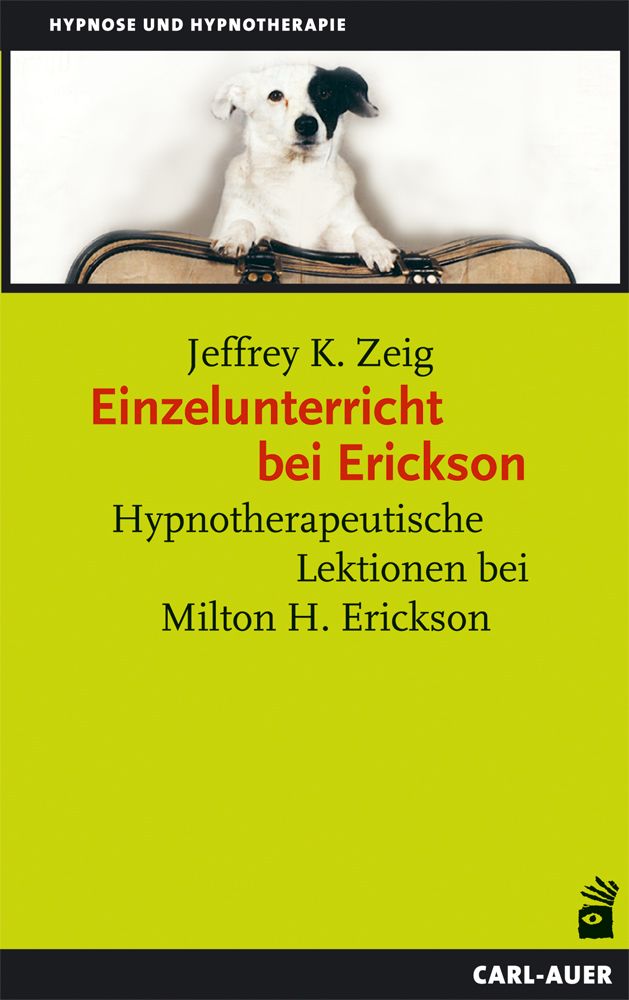 Einzelunterricht bei Erickson