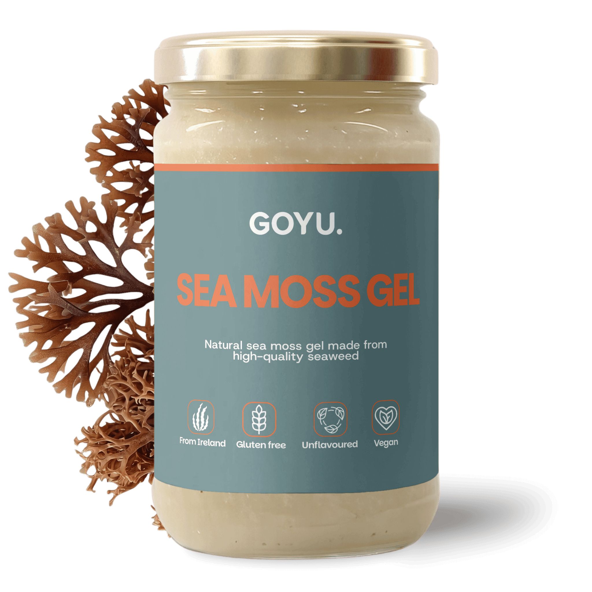 Glas mit GOYU Sea Moss Gel, braune Algen daneben. Aufschrift: Sea Moss Gel, aus irischem Seetang, glutenfrei, vegan.