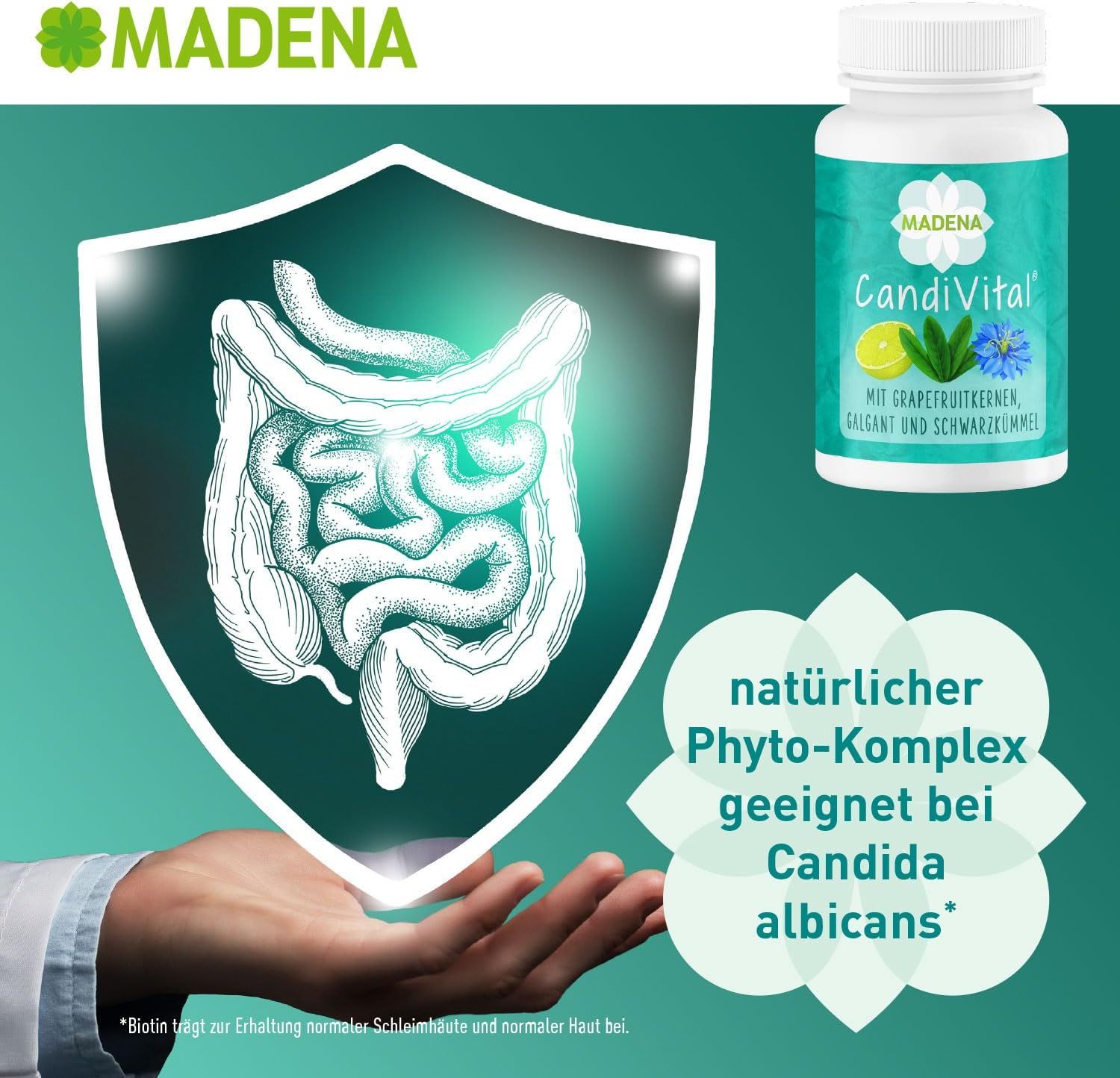 MADENA CandiVital Kapseln-Packung neben einer Illustration des Darms. Text: Natürlicher Phyto-Komplex geeignet bei Candida albicans.