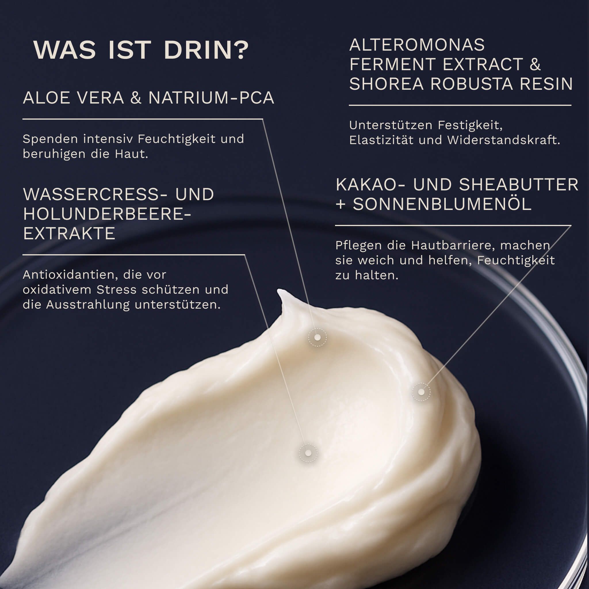 Creme auf dunklem Hintergrund. Inhaltsstoffe: Aloe Vera & Natrium-PCA, Wasserkresse- und Holunderbeere-Extrakte, Kakaobutter & Sonnenblumenöl.