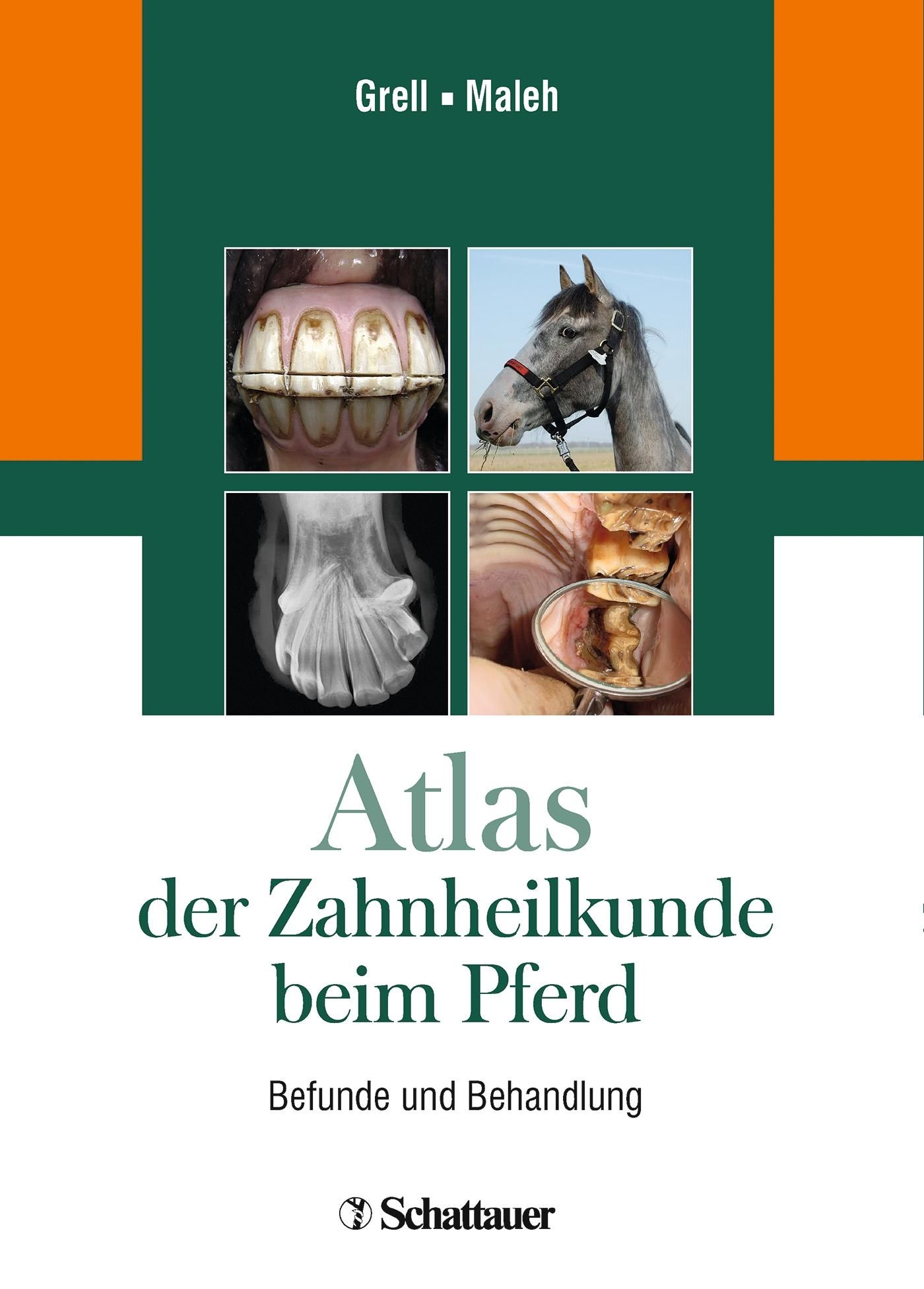 Atlas der Zahnheilkunde beim Pferd Befunde und Behandlung