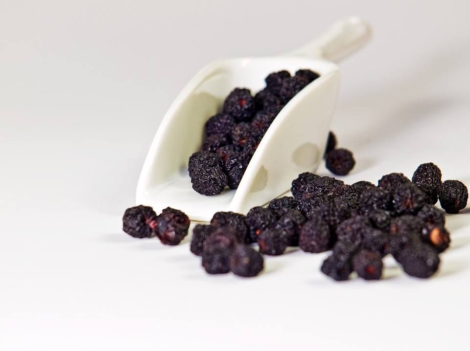 buXtrade Bio Aronia Beere