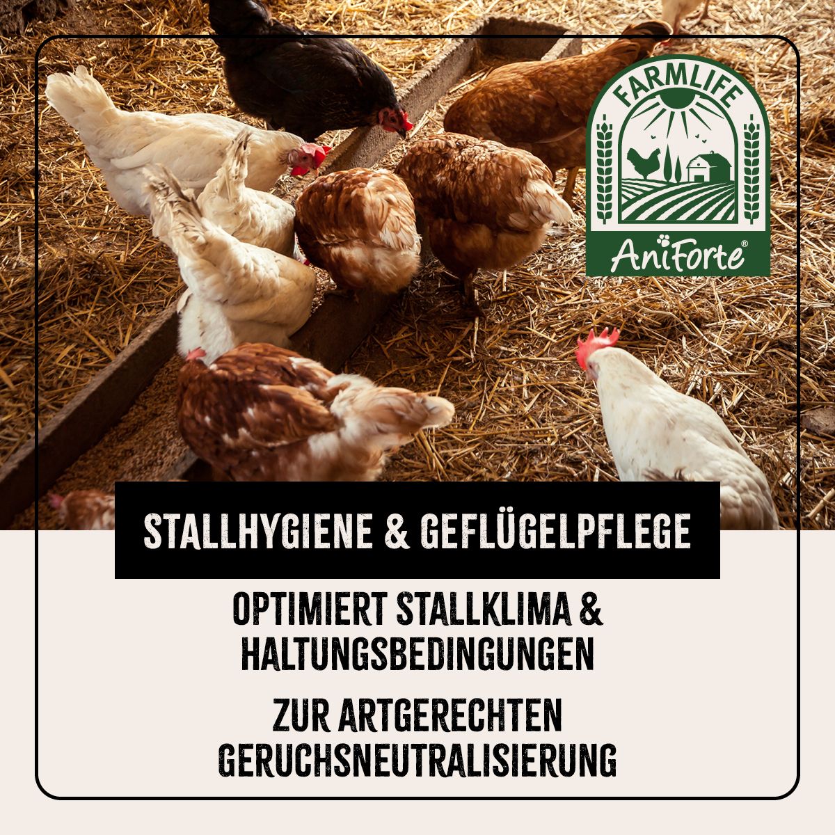 AniForte Kieselgur Pulver (ehem. Milben-STOP Puder) inkl. Stäuberflasche