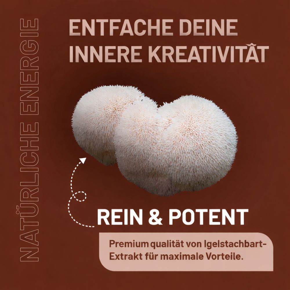 Zwei weiße, pelzige Pilze. Text: Rein & Potent. Premium Igelstachbart-Extrakt.