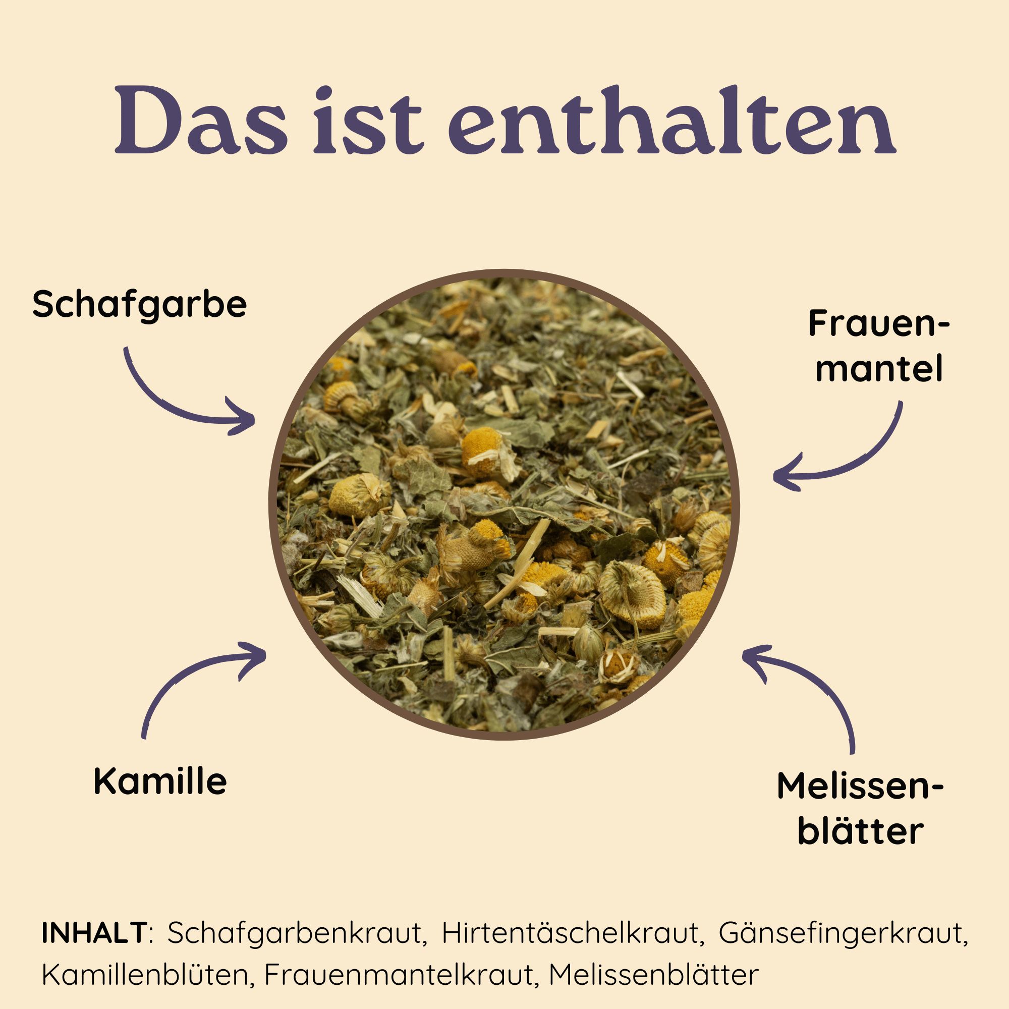 Kreisförmige Anordnung von Kräutern: Schafgarbe, Frauenmantel, Kamille, Melissenblätter. Inhalt: Schafgarbenkraut, etc.