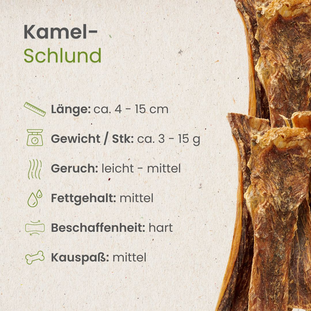 Fünf gedrehte Rinder-Kausticks liegen auf weißem Hintergrund.