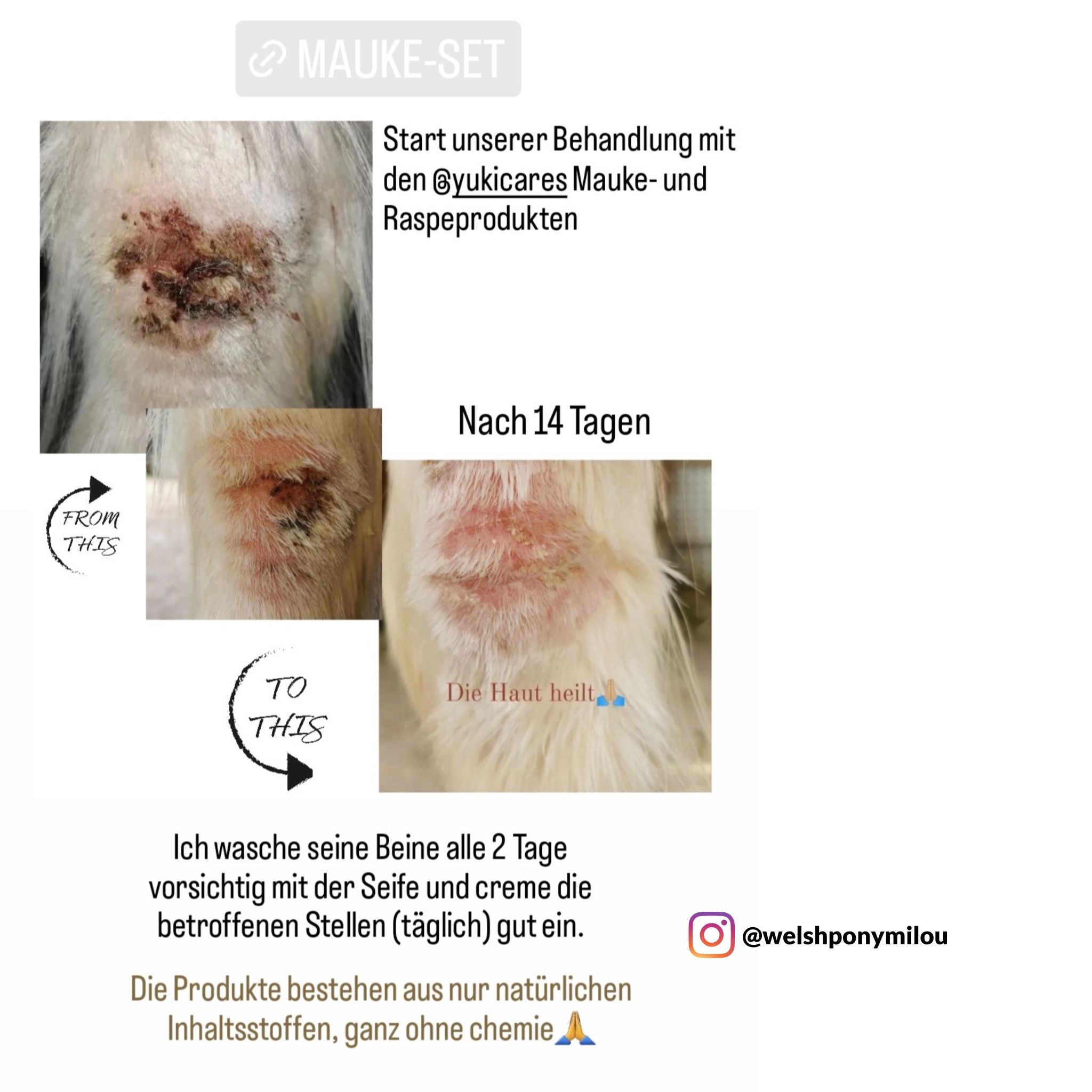 Yuki cares Maukecreme für Pferde