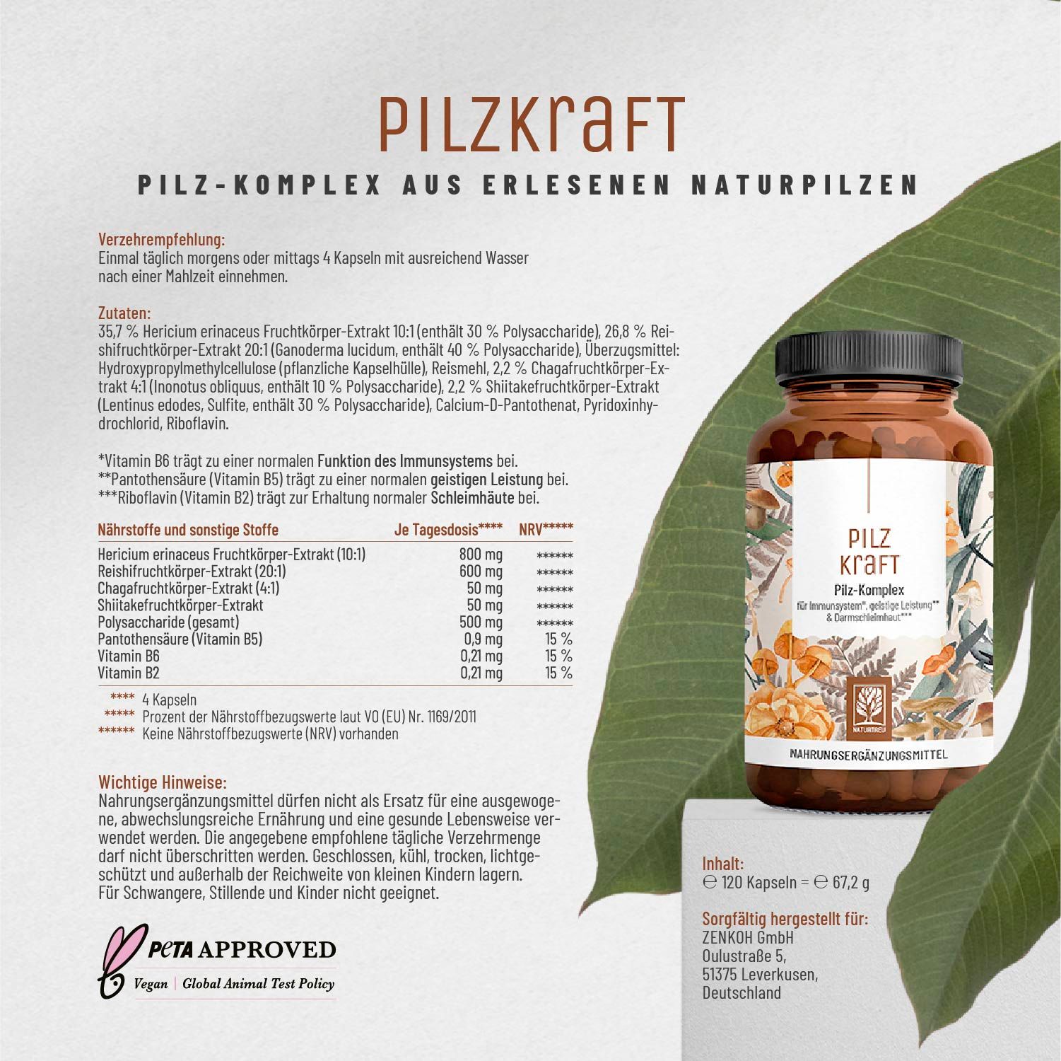 Pilz Komplex mit Hericium Erinaceus (Lions Mane), Reishi, Chaga & Shiitake- Pilzkraft - NATURTREU®