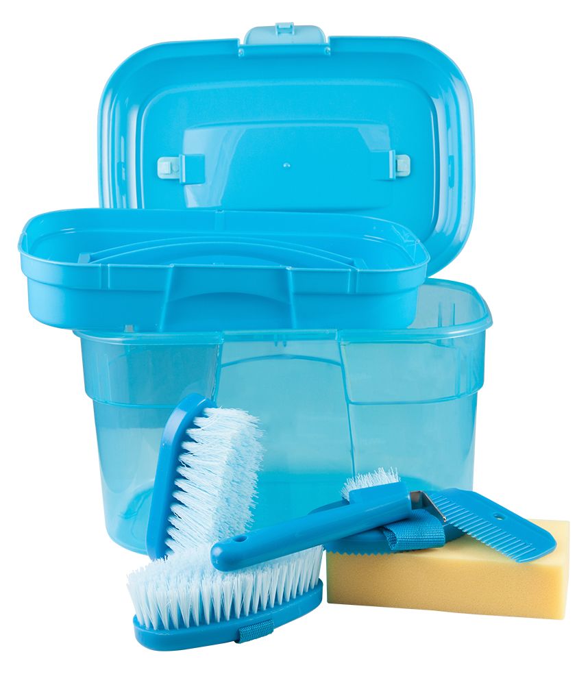 Blaue Putzkiste mit Inhalt, geöffnet. Enthält Bürsten, Schwamm und Kamm. Transparente Kunststoffbox mit Tragegriff.
