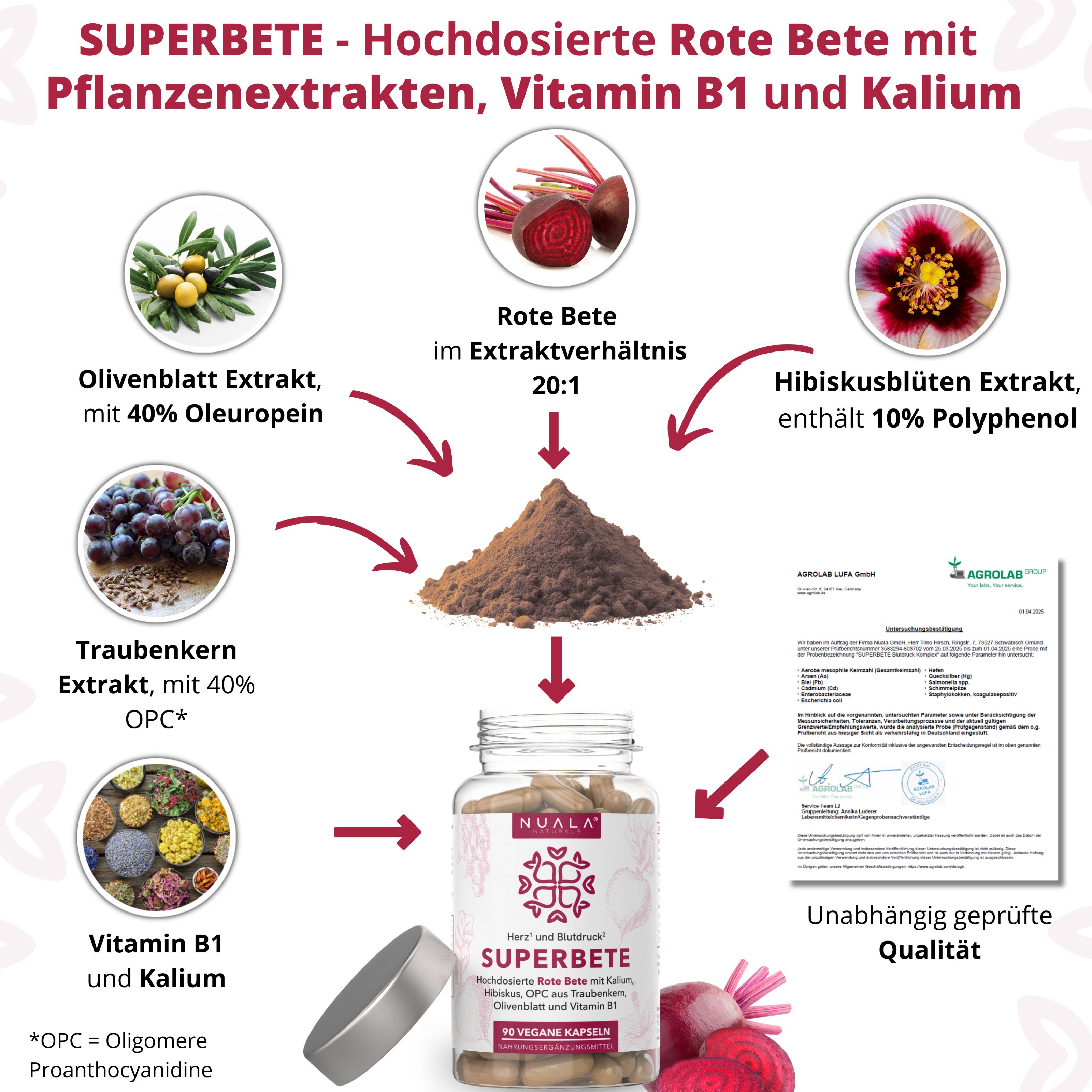 Schema der Inhaltsstoffe von SUPERBETE: Rote Bete, Hibiskus, OPC, Olivenblatt, Vitamin B1, Kalium.
