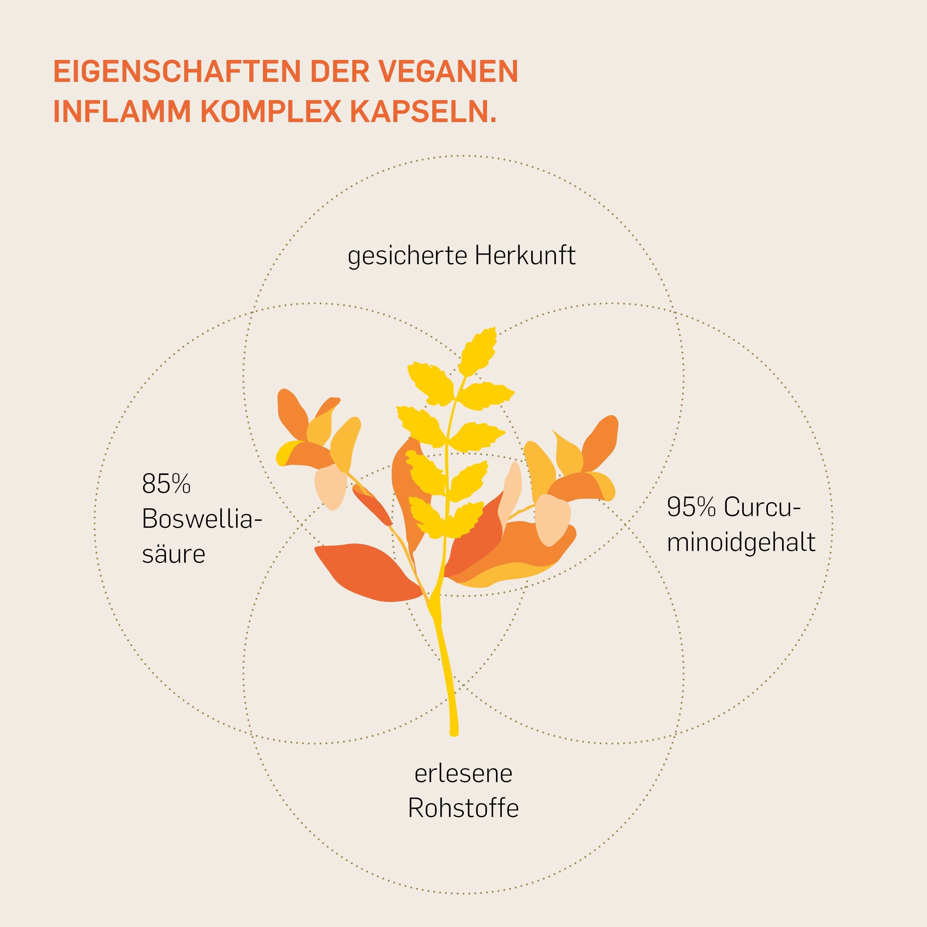 Kurkraft© Inflamm Komplex 90 St Kapseln