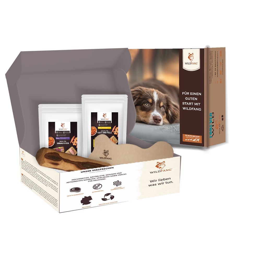 Geöffnete Box mit Produkten. Zwei Tüten, ein Kauknochen und eine Broschüre. Marke: WILDFANG. Für einen guten Start.