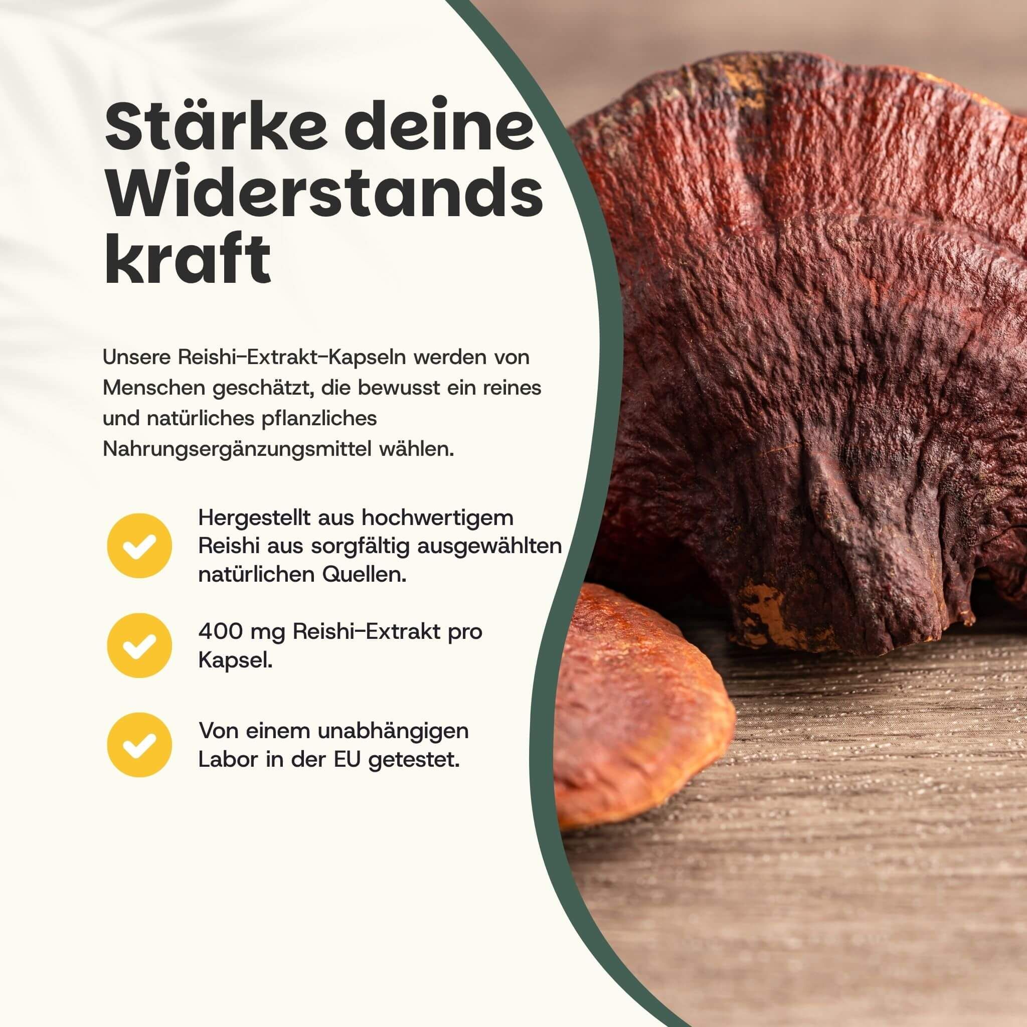 Text: Stärke deine Widerstandskraft. 400 mg Reishi-Extrakt pro Kapsel. Getestet in der EU. Reishi-Pilz.