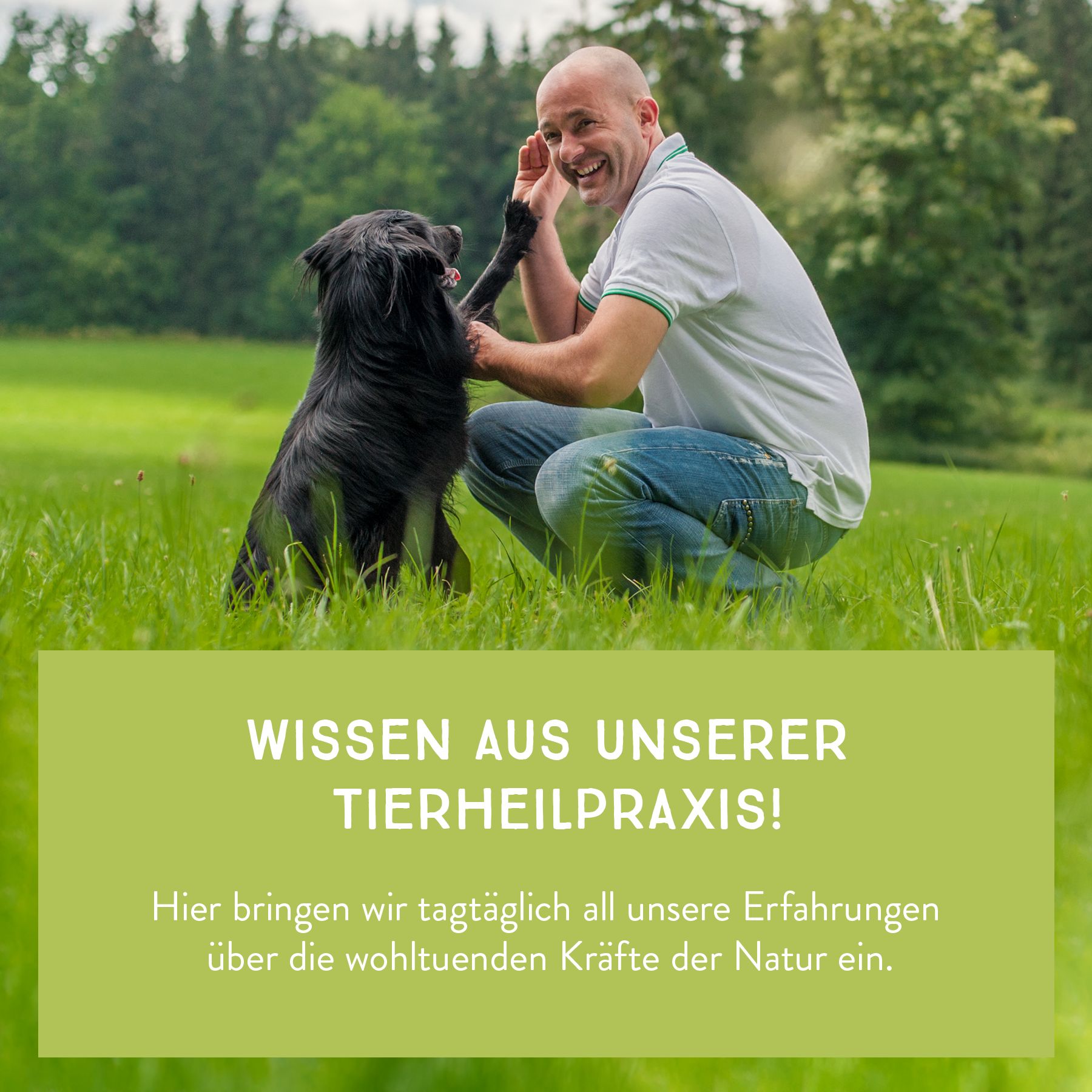 AniCanis Futterkohle aus reinen Kräutern für Hunde & Katzen