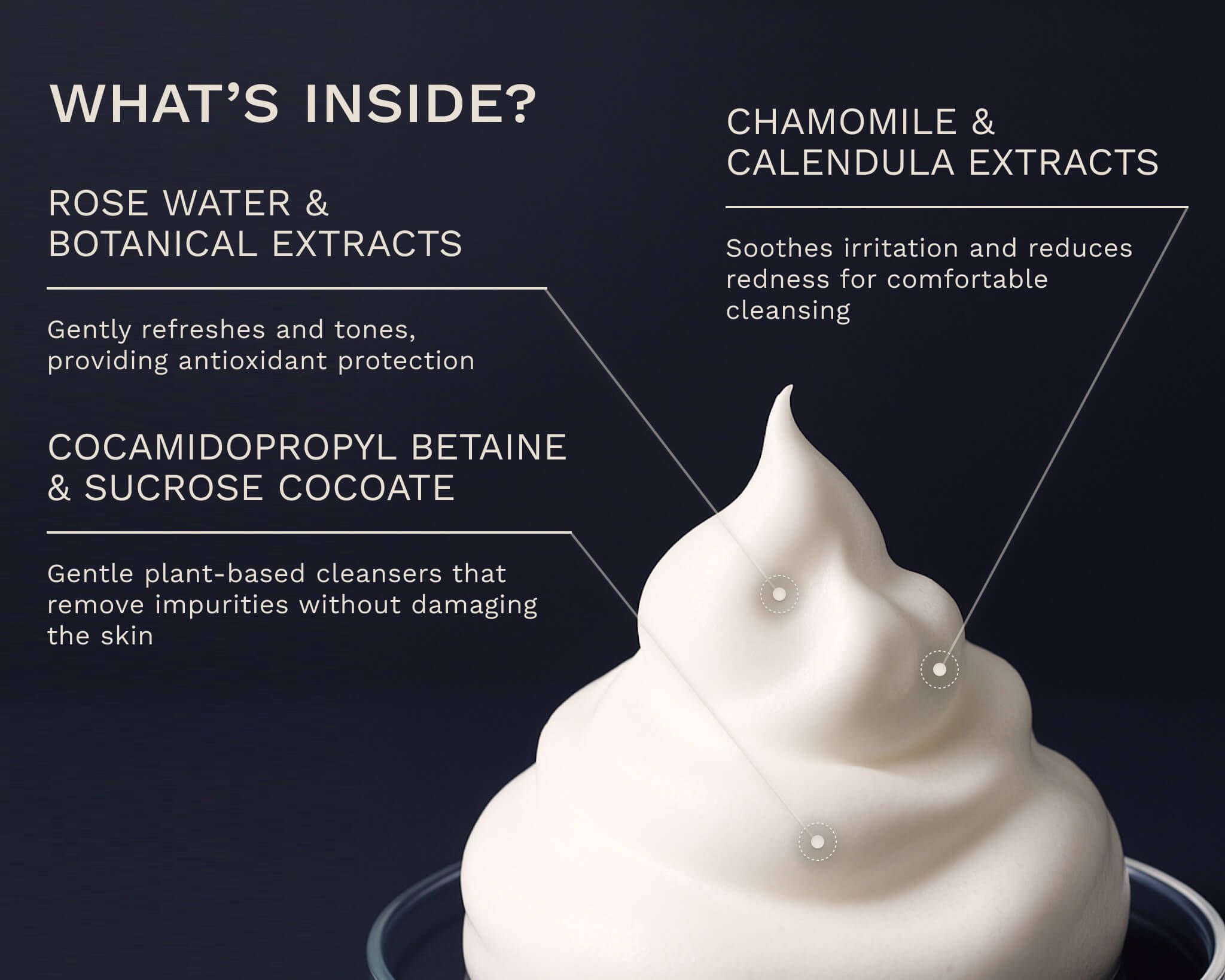 BERGAMOND & BIRCH Clarité No. 18 – Foaming Facial Wash