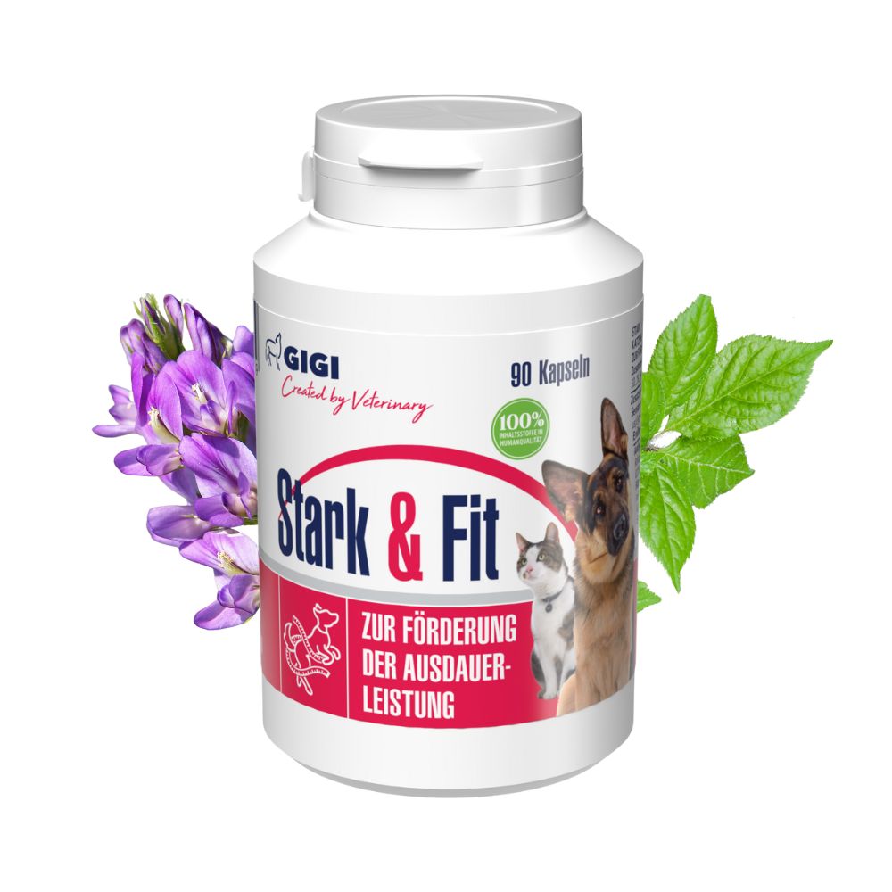 GIGI VET Stark & Fit Für Hunde und Katzen