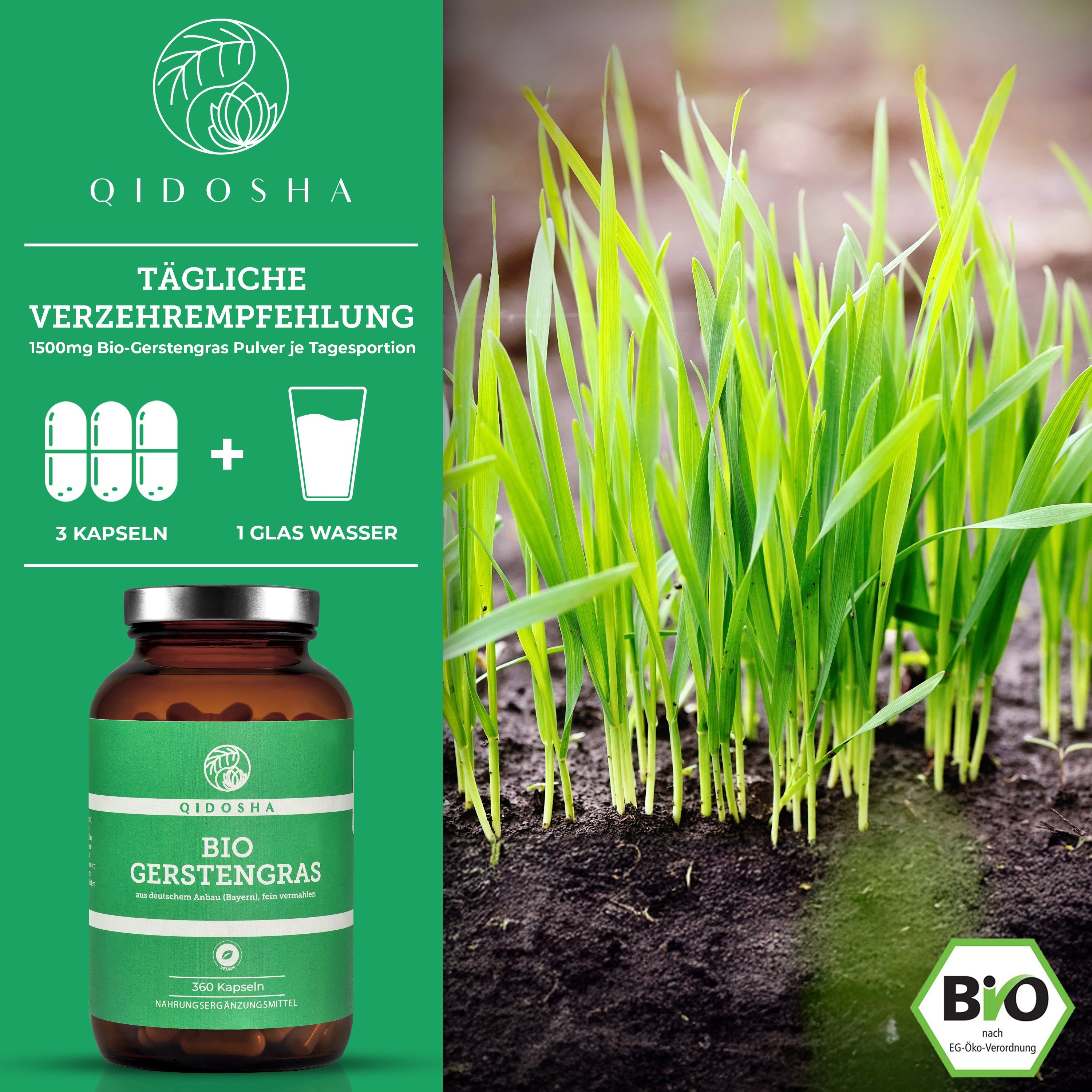 Braune Glasflasche mit grünem Etikett. Aufschrift: QIDOSHA Bio Gerstengras. Bio-Siegel. 3 Kapseln und ein Glas Wasser. Grüne Gerstengras-Pflanzen.