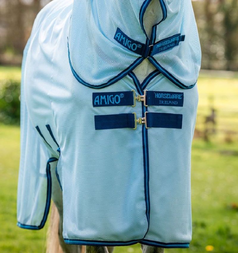 Hellblaue Fliegendecke mit 'AMIGO' und 'HORSEWARE IRELAND' Schriftzug. Das Pferd steht im Freien.