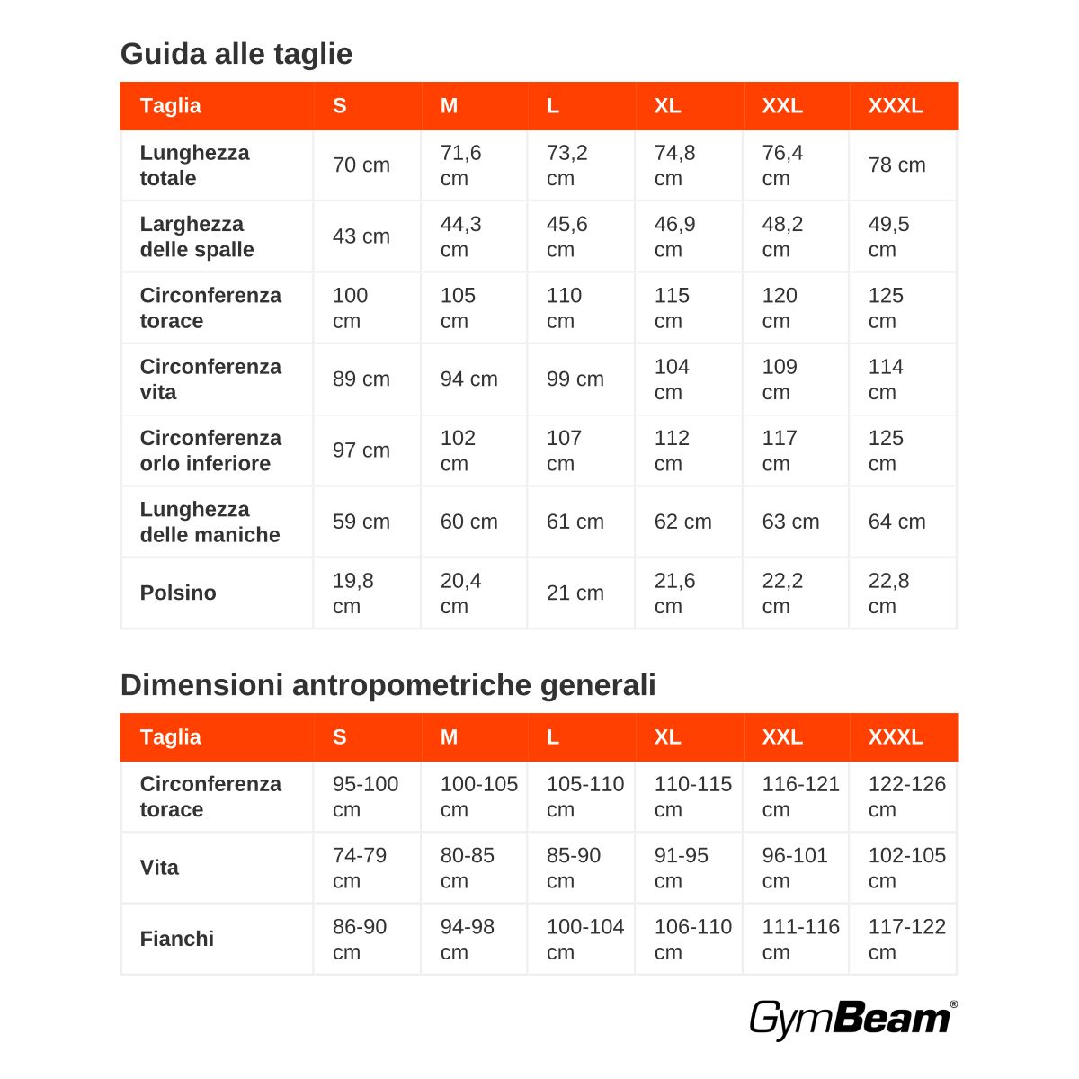 GymBeam Sweatshirt Herren slim ohne Kapuze in Eucalypt