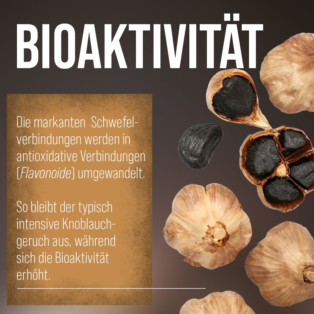 Knoblauchzehen und halbiertes Knoblauchstück. Text: Bioaktivität. Text erklärt die Umwandlung von Schwefelverbindungen.