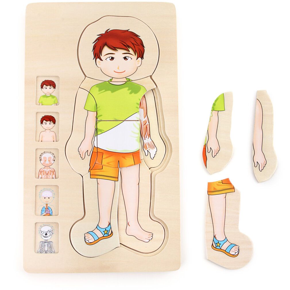 Holzpuzzle Anatomie Junge. Puzzle mit Körperteilen, Illustrationen von Organen und Skelett. Holzfarben.