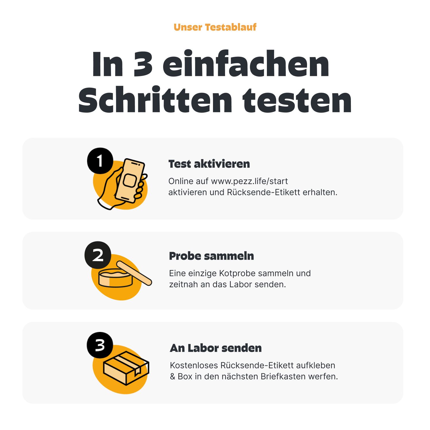 Infografik: Testablauf in 3 Schritten. 1: Test aktivieren. 2: Probe sammeln. 3: An Labor senden. Text und Icons.