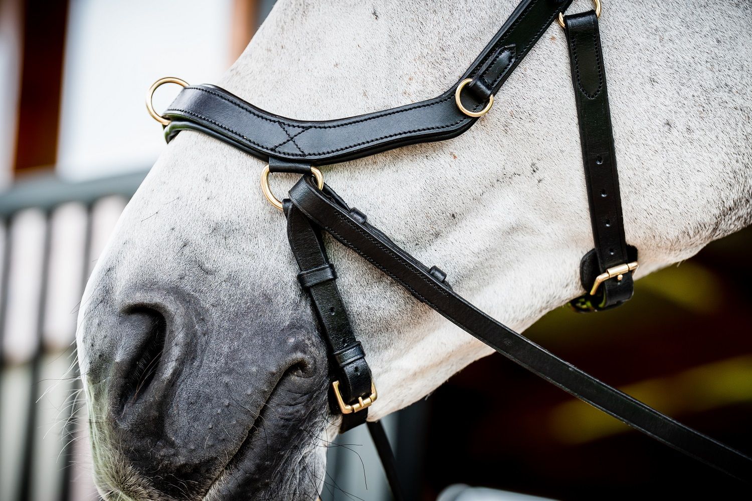 Horseware Micklem® 2 Multi Bridle