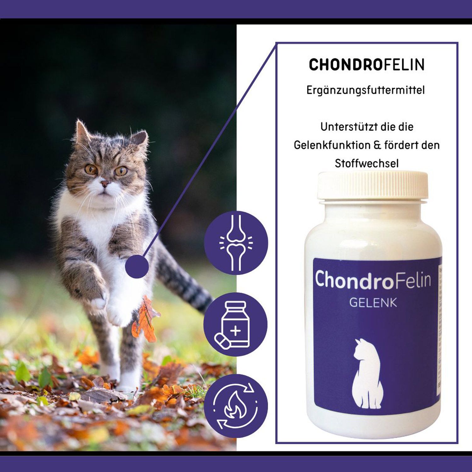 reboVet ReboTabs ChondroFelin