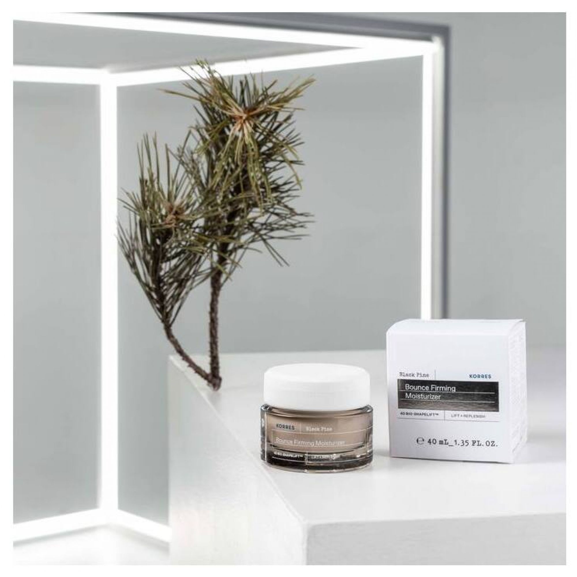 KORRES Black Pine Bounce Firming Moisturizer Tiegel und Faltschachtel, 40ml, neben einem Zweig.