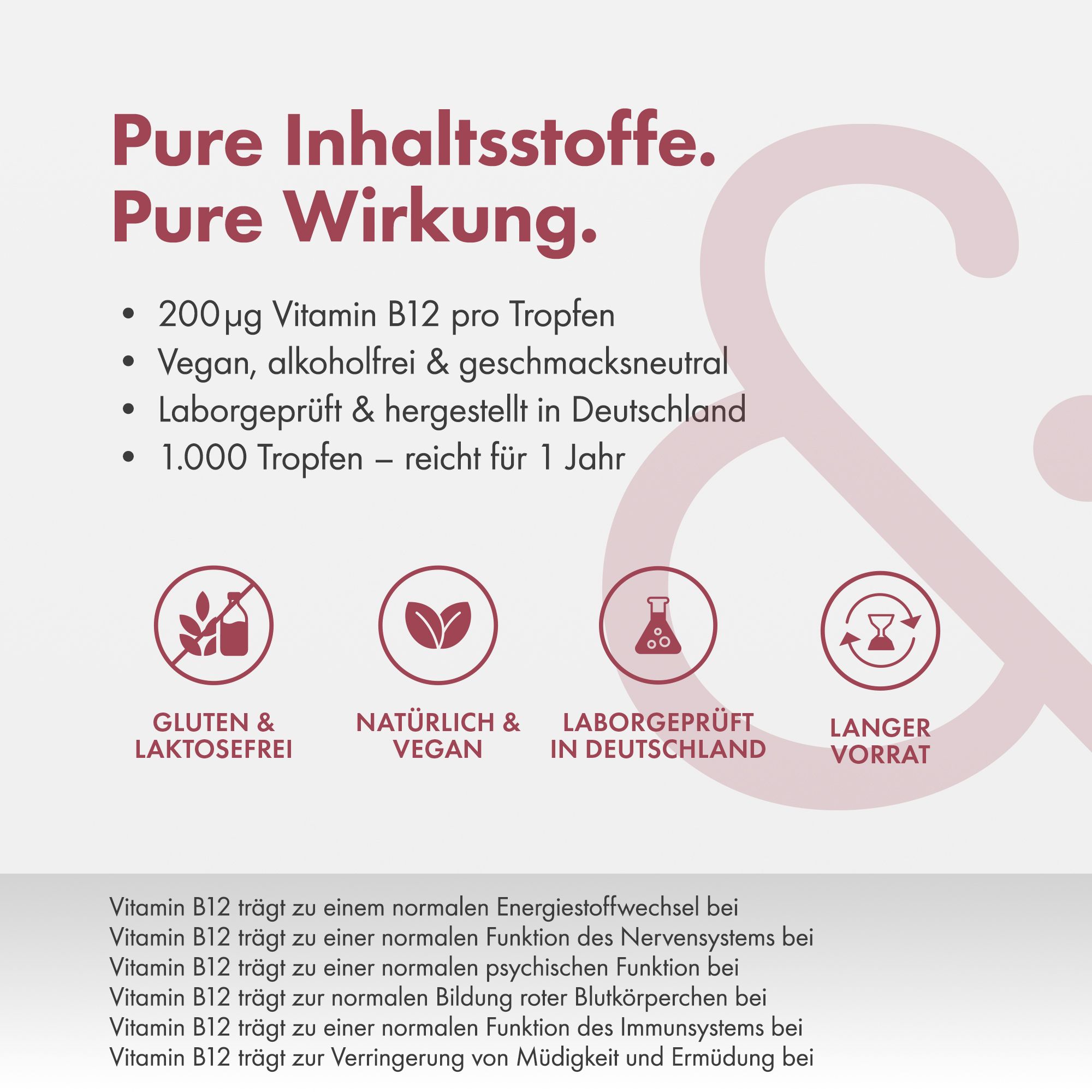 Grafik mit Symbolen und Text. Gluten- und laktosefrei, natürlich & vegan, laborgeprüft in Deutschland, langer Vorrat.