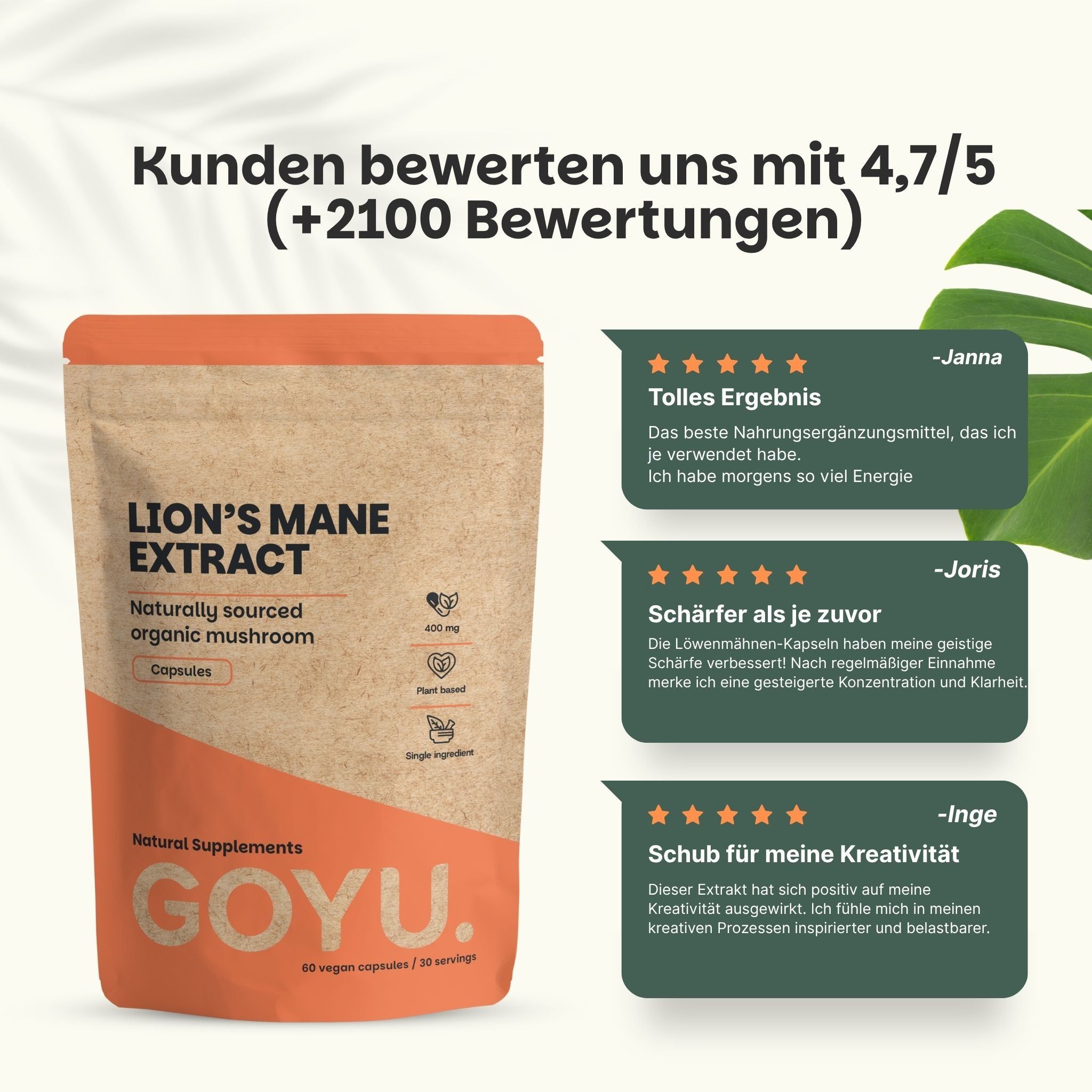 Packung Löwenmähne Extrakt Kapseln, daneben Kundenbewertungen und Pflanzenblätter.