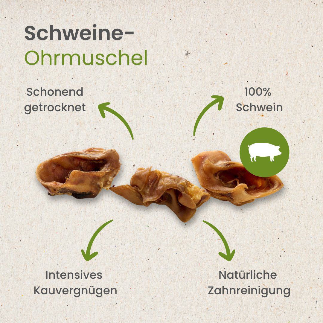 Schwein-Ohrmuschel, schonend getrocknet, 100% Schwein, intensives Kauvergnügen, natürliche Zahnreinigung.