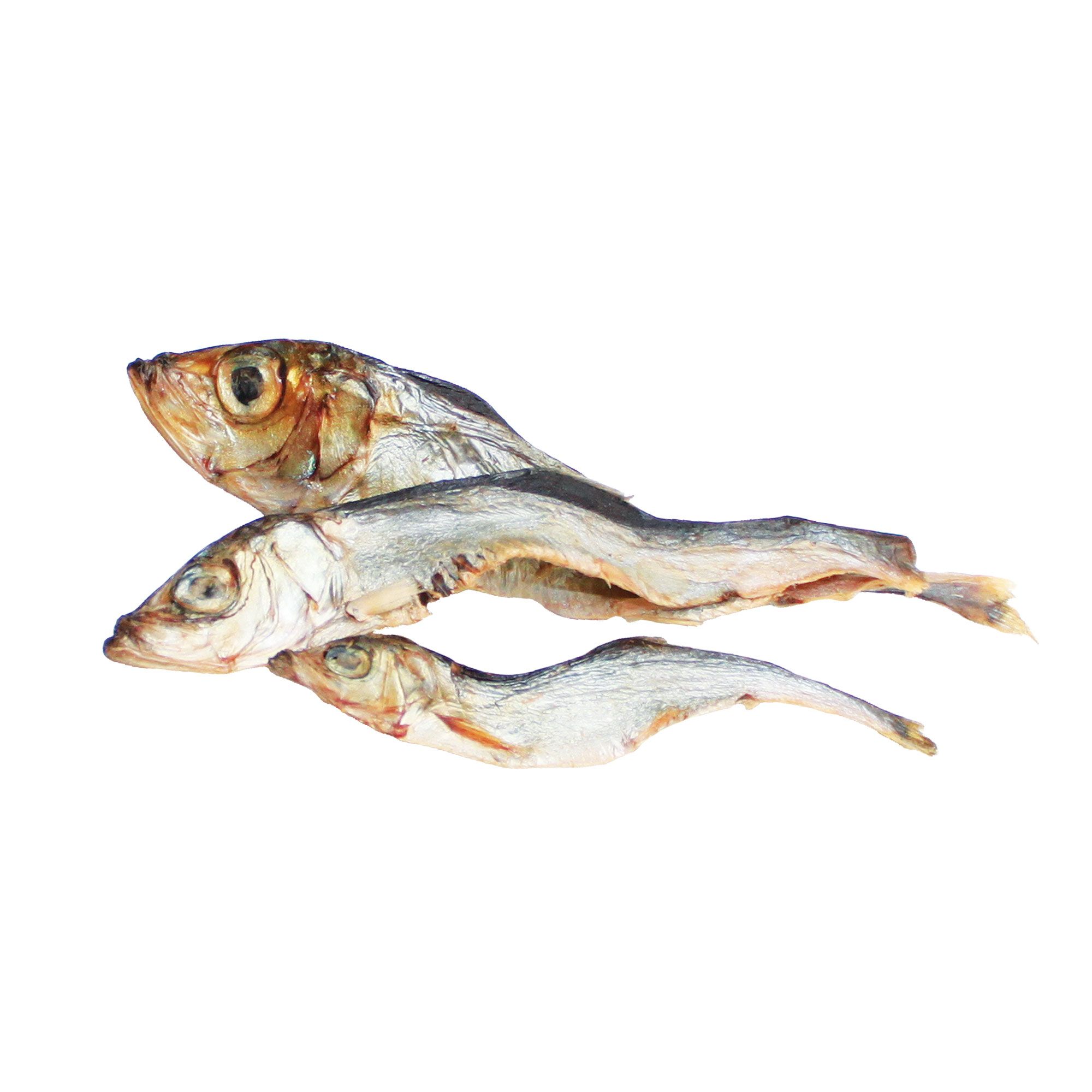 Schecker Kausnack - Sprotten