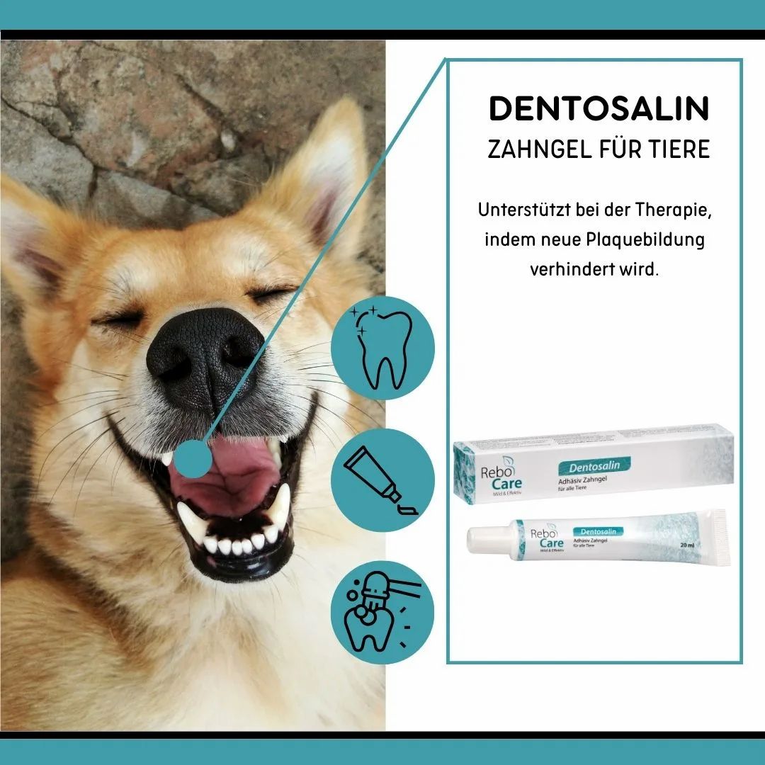 reboVet Dentosalin Adhäsives Zahngel