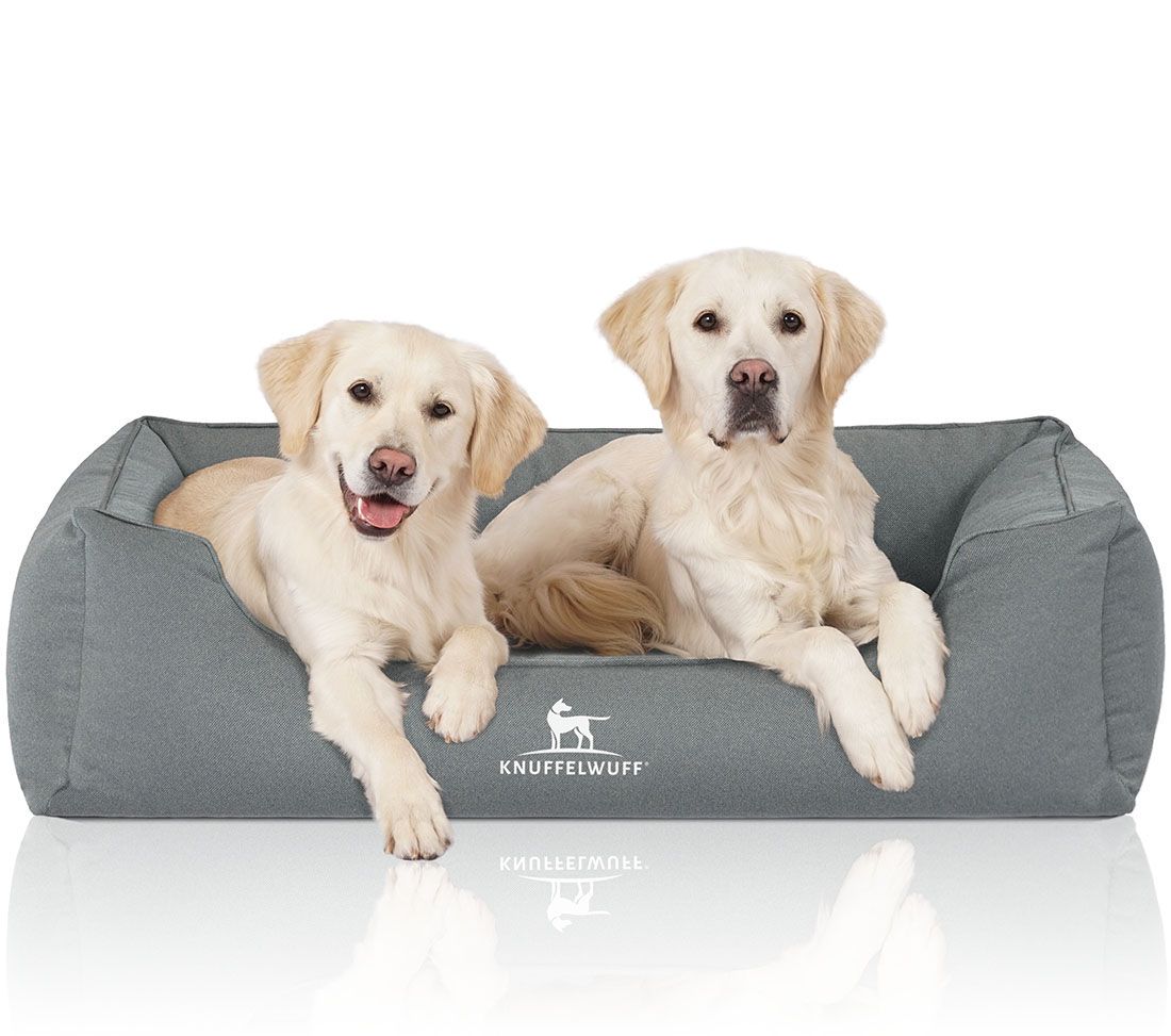 Graues Hundebett mit zwei Golden Retrievern. Marke Knuffelwuff ist sichtbar. Hunde liegen im Bett.