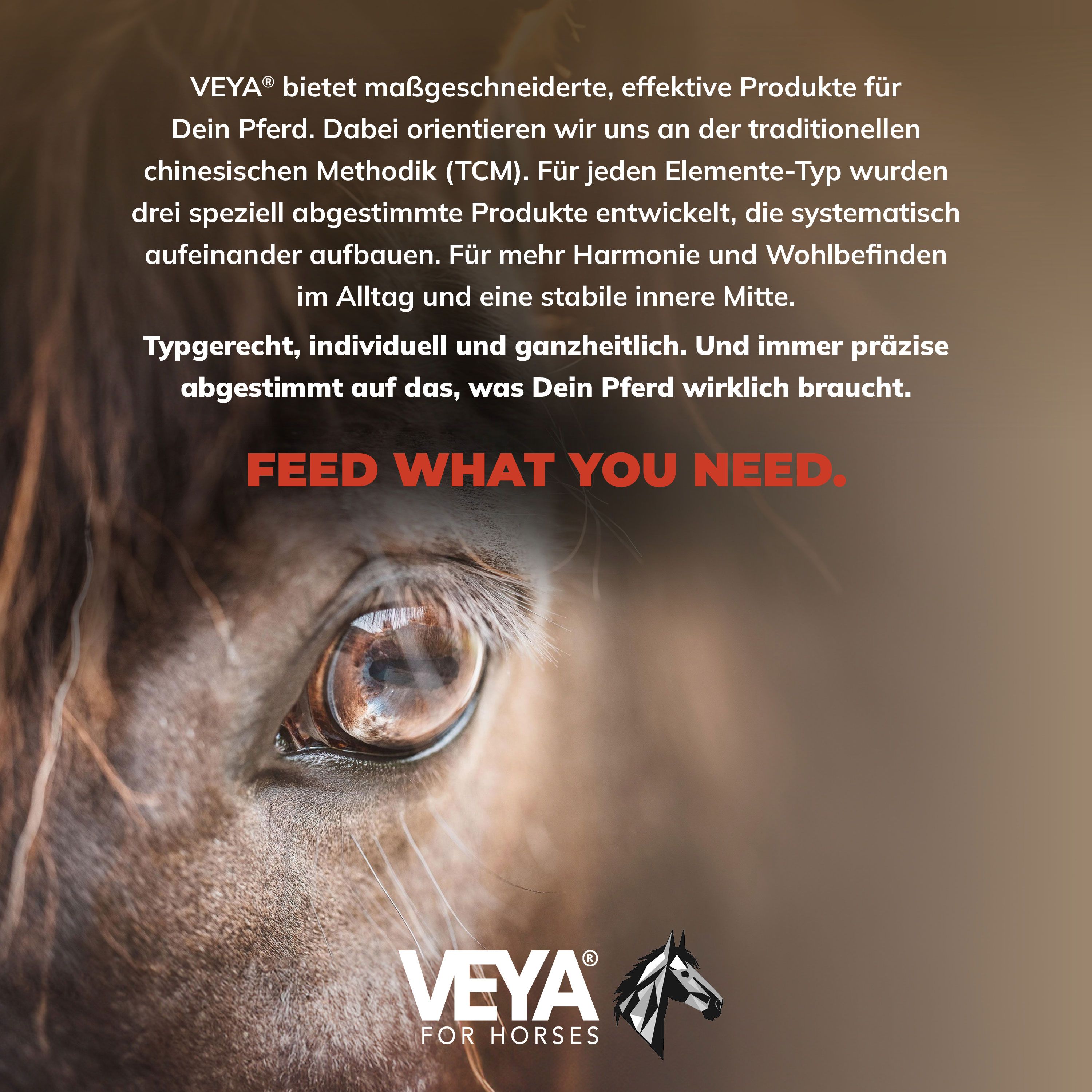 VEYA ERDE-TYP 3 Leistung & Muskulatur