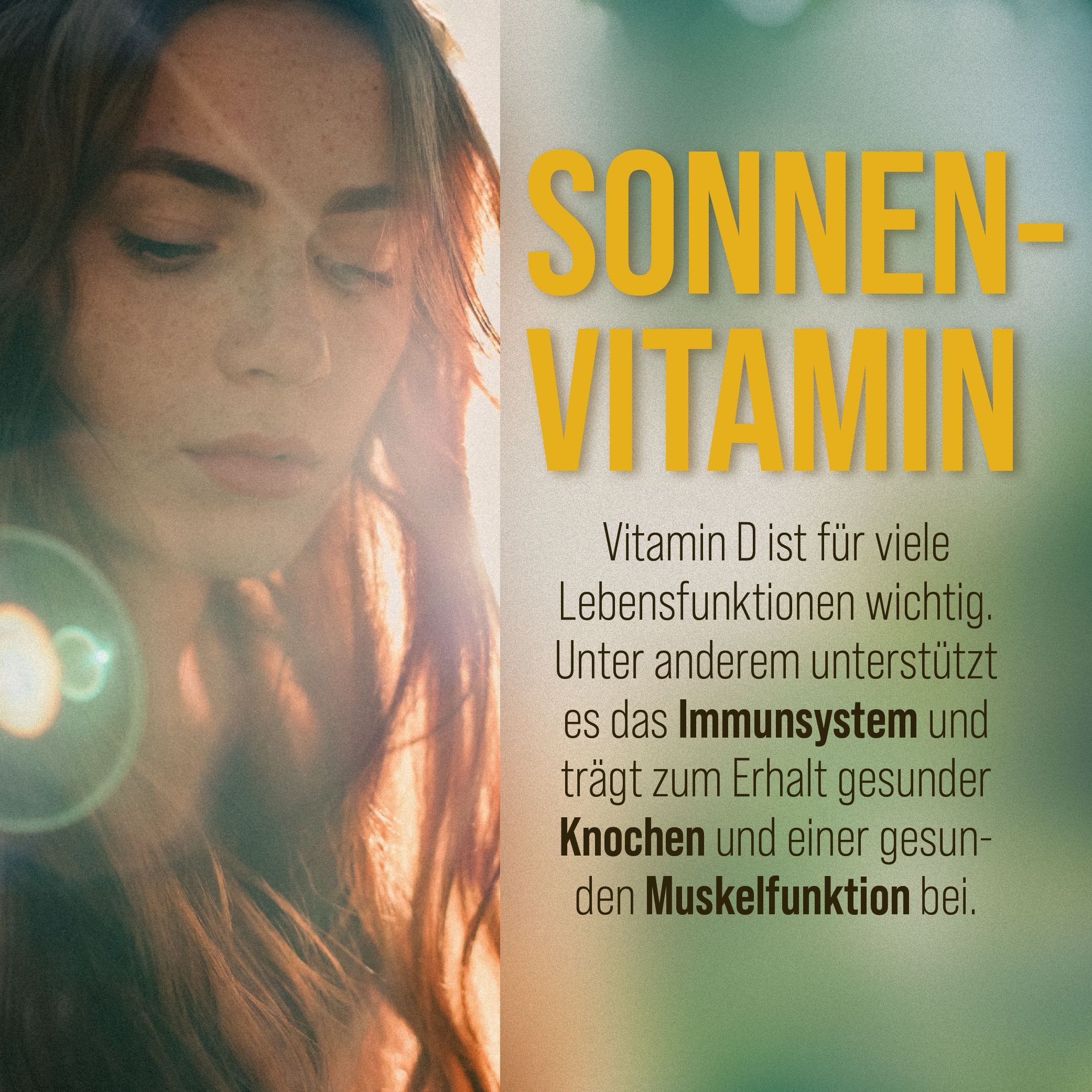 Sanct Bernhard Vitamin-D3+K2-Tropfen