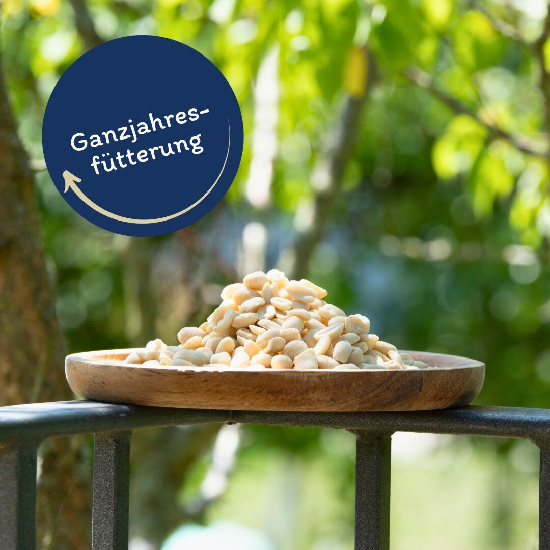 Lyra Pet Erdnusskerne 25kg - Geschälte Halbe Erdnüsse Für Wildvögel | Ganzjähriges Vogelfutter