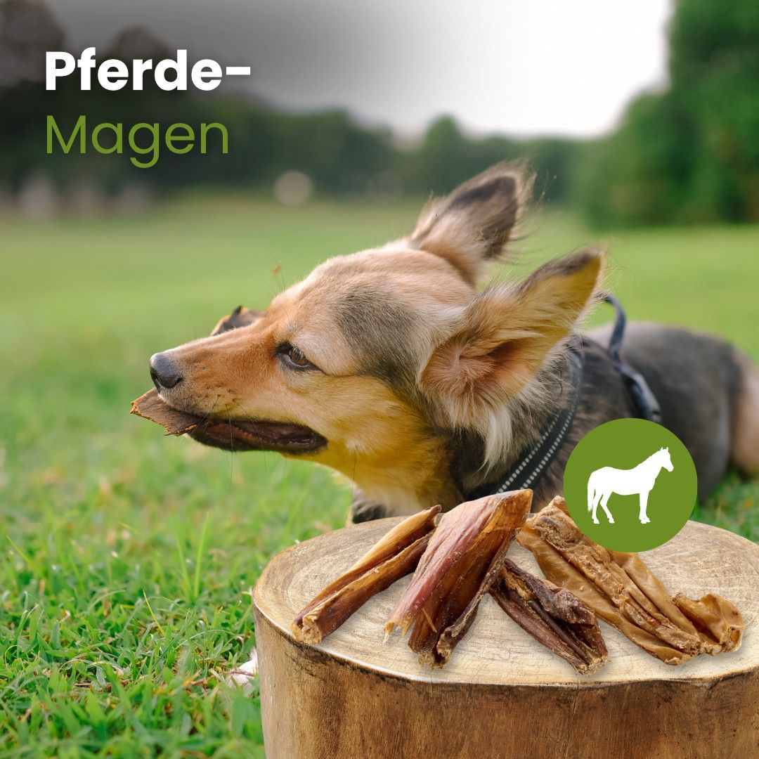 Getrocknete Pferde-Mägen als Hundekauartikel, hoher Proteingehalt, 100% Pferd, hypoallergen.