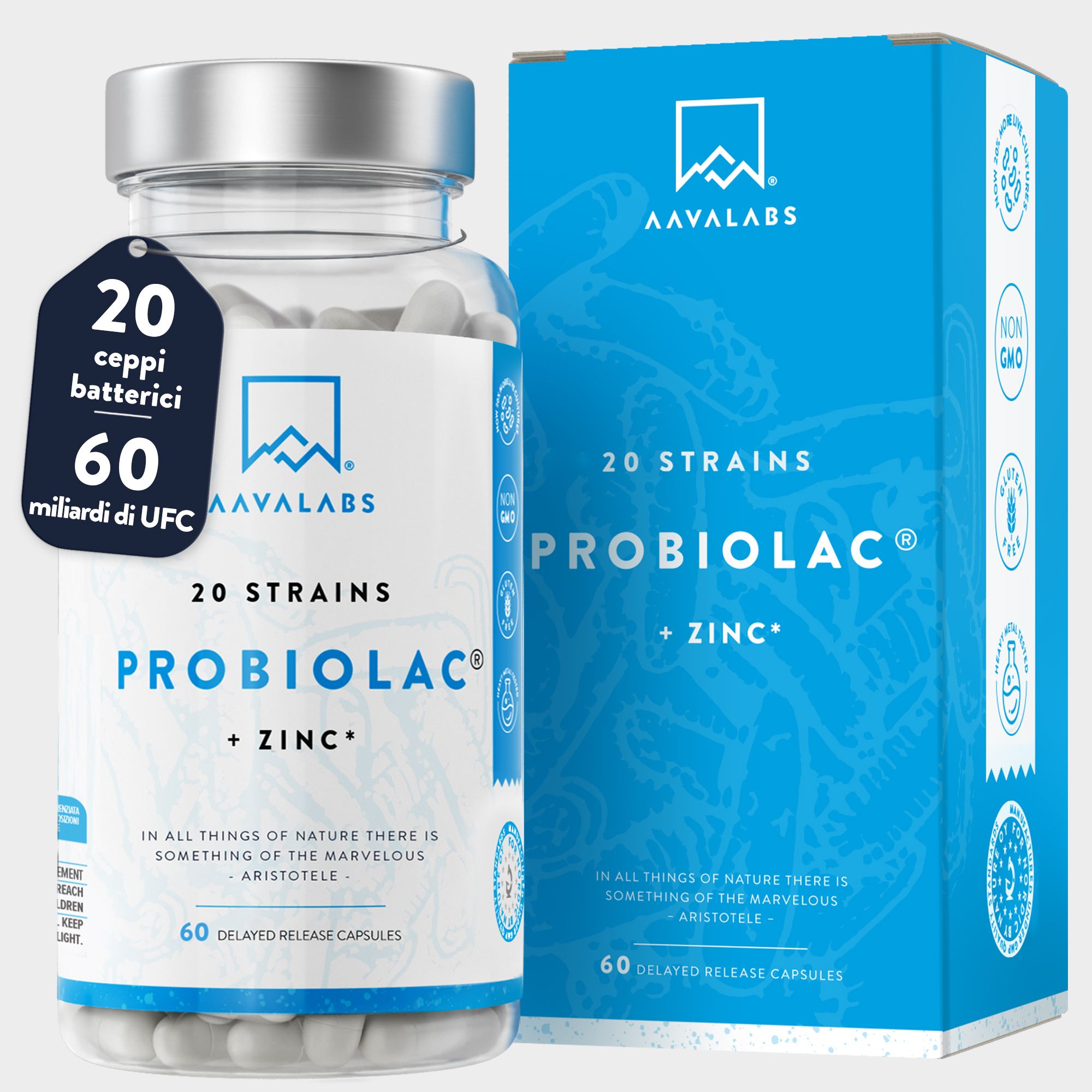 Probiolac-Kapseln und Verpackung. Blaue Verpackung mit Produktinformationen. Kapseln in einer transparenten Flasche.