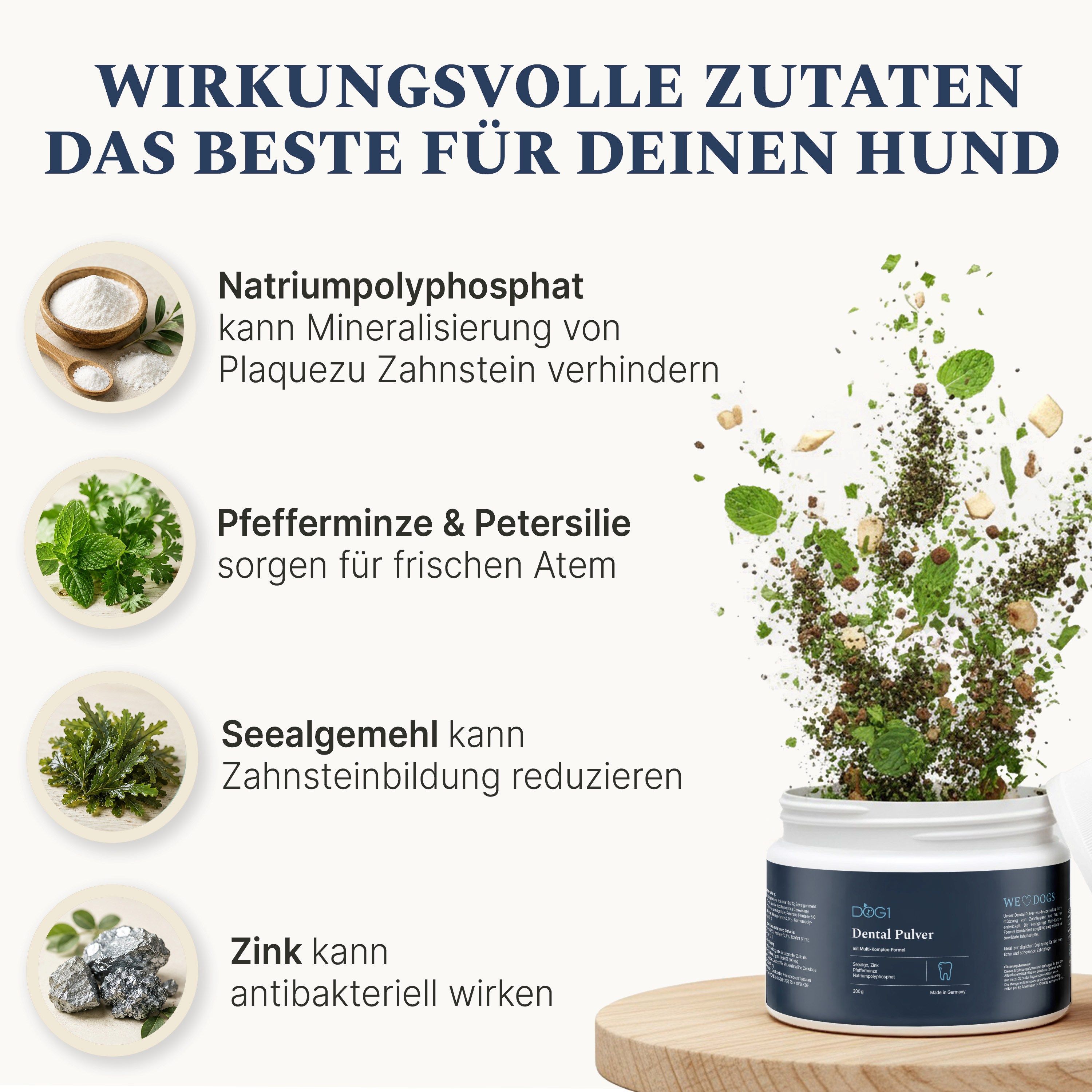 DOG1 Dental Pulver: Zutaten wie Natriumpolyphosphat, Minze, Petersilie, Seetang und Zink.
