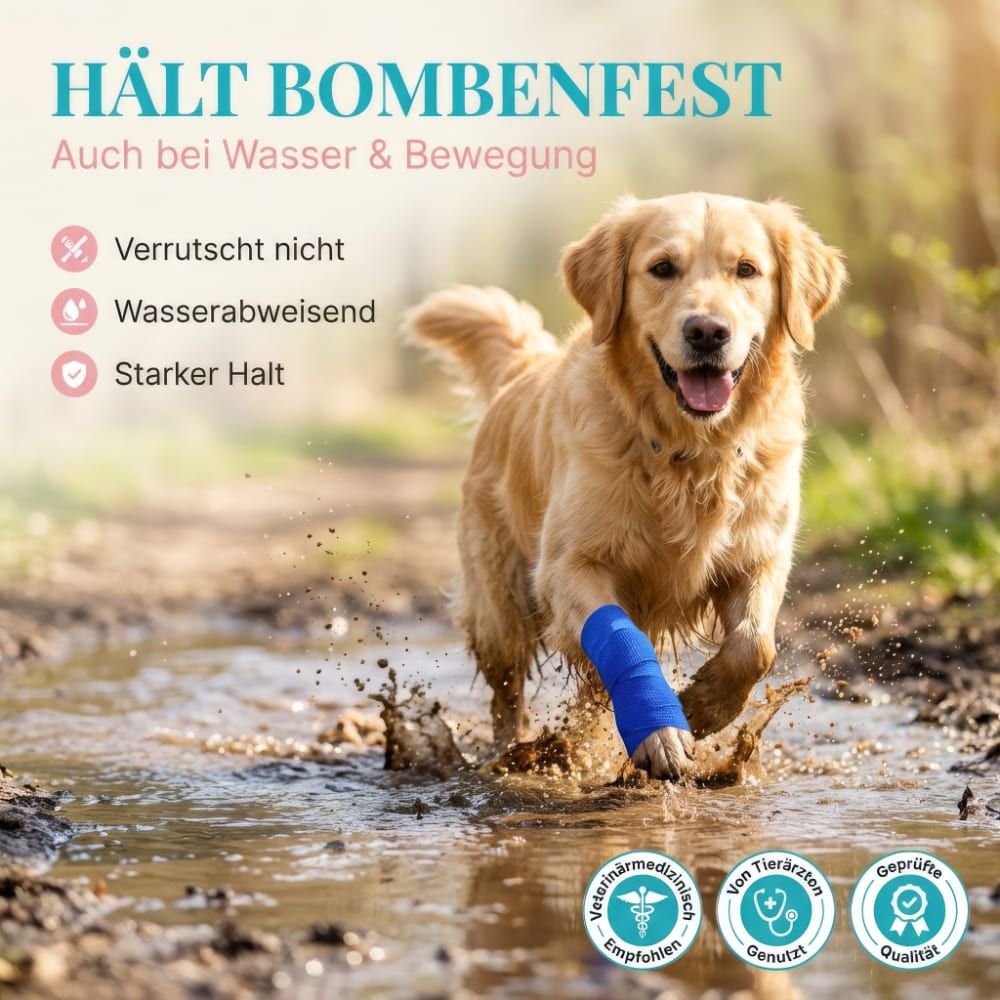 Hund mit blauer Bandage am Bein, rennt durch Wasser. Text: HÄLT BOMBENFEST. Logos: Tierärzte, Qualität.