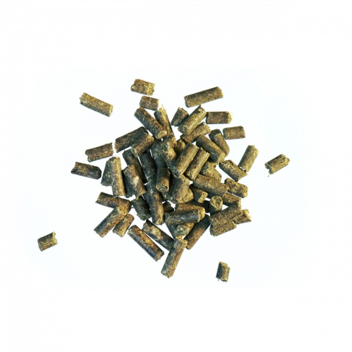Haufen von zylindrischen Pellets. Farbe: braun-grün. Textur: körnig. Einzelne Pellets verstreut.