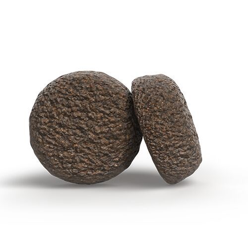 JOSERA Adult Salmon & Potato