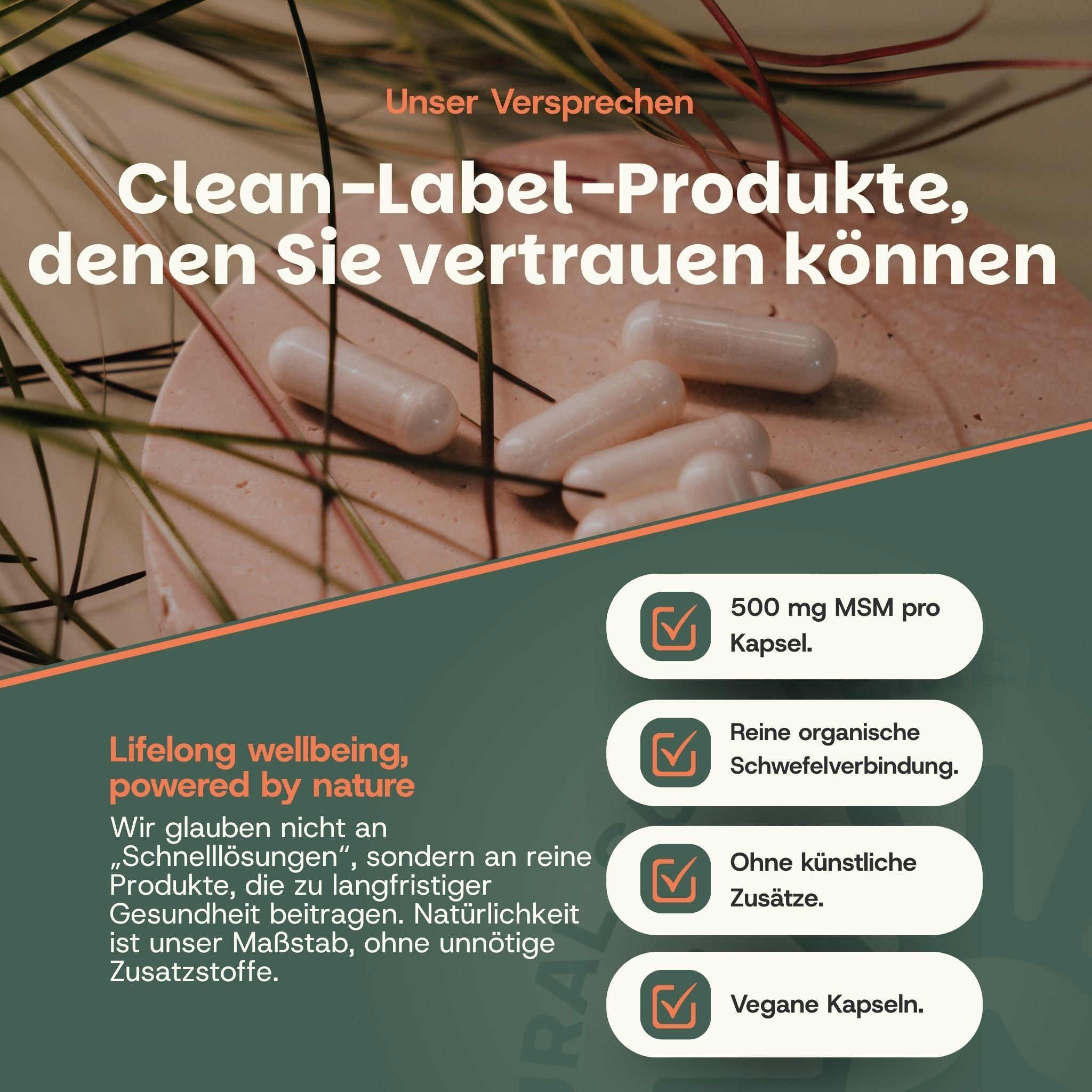 Versprechen: Clean Label Produkte. 500 mg MSM, reine Schwefelverbindung, vegan.