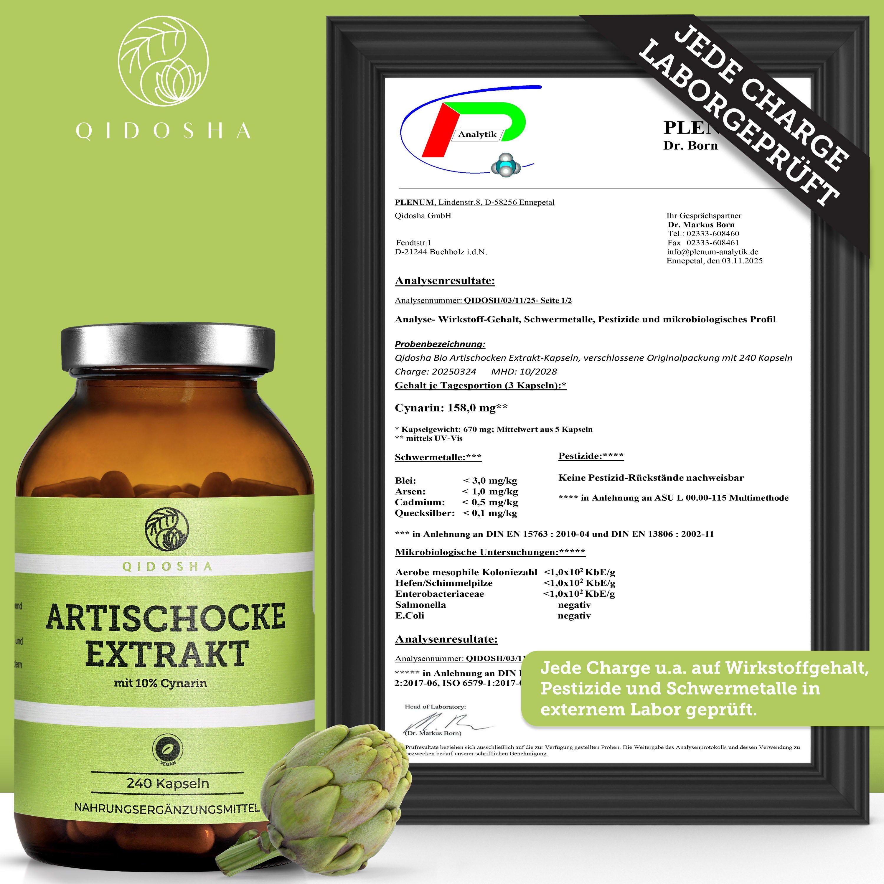 QIDOSHA Artischockenextrakt mit 10% Cynarin