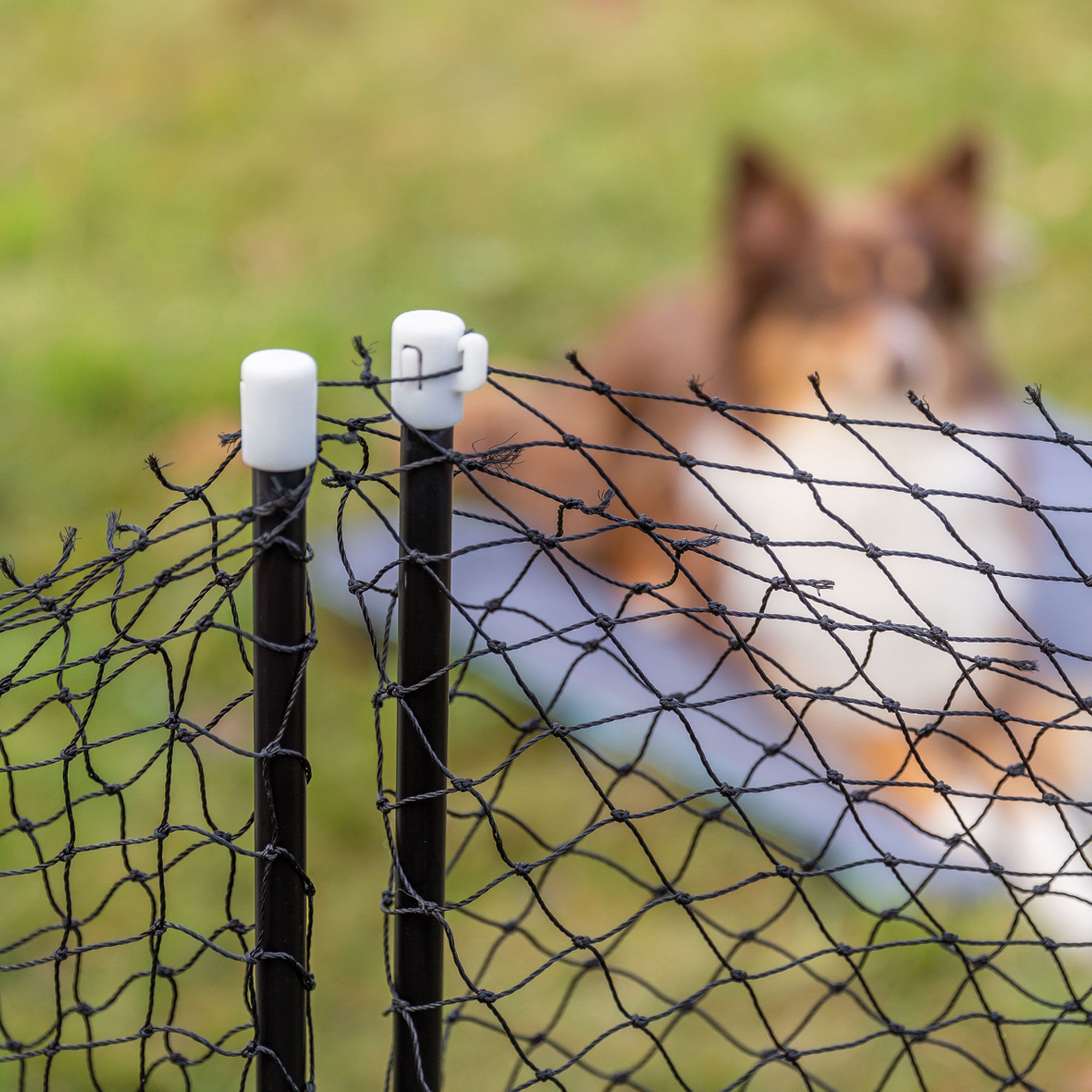 Trixie Mobiler Hundezaun - ob unterwegs auf Reisen oder im Garten