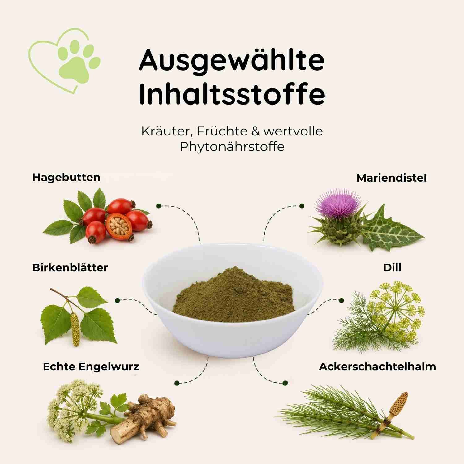 Ausgewählte Inhaltsstoffe: Kräuter, Früchte & wertvolle Phytonährstoffe. Mit Hagebutten, Birkenblättern, Engelwurz, Mariendistel, Dill und Ackerschachtelhalm.