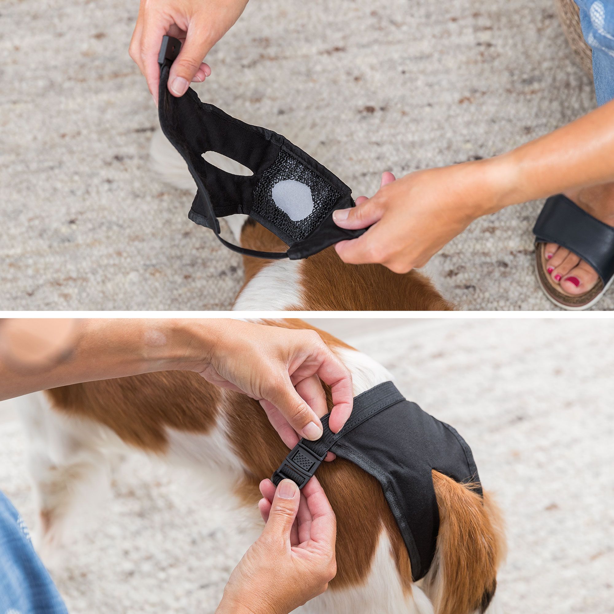 Trixie Hundeslip- incl. 100 Wechseleinlagen